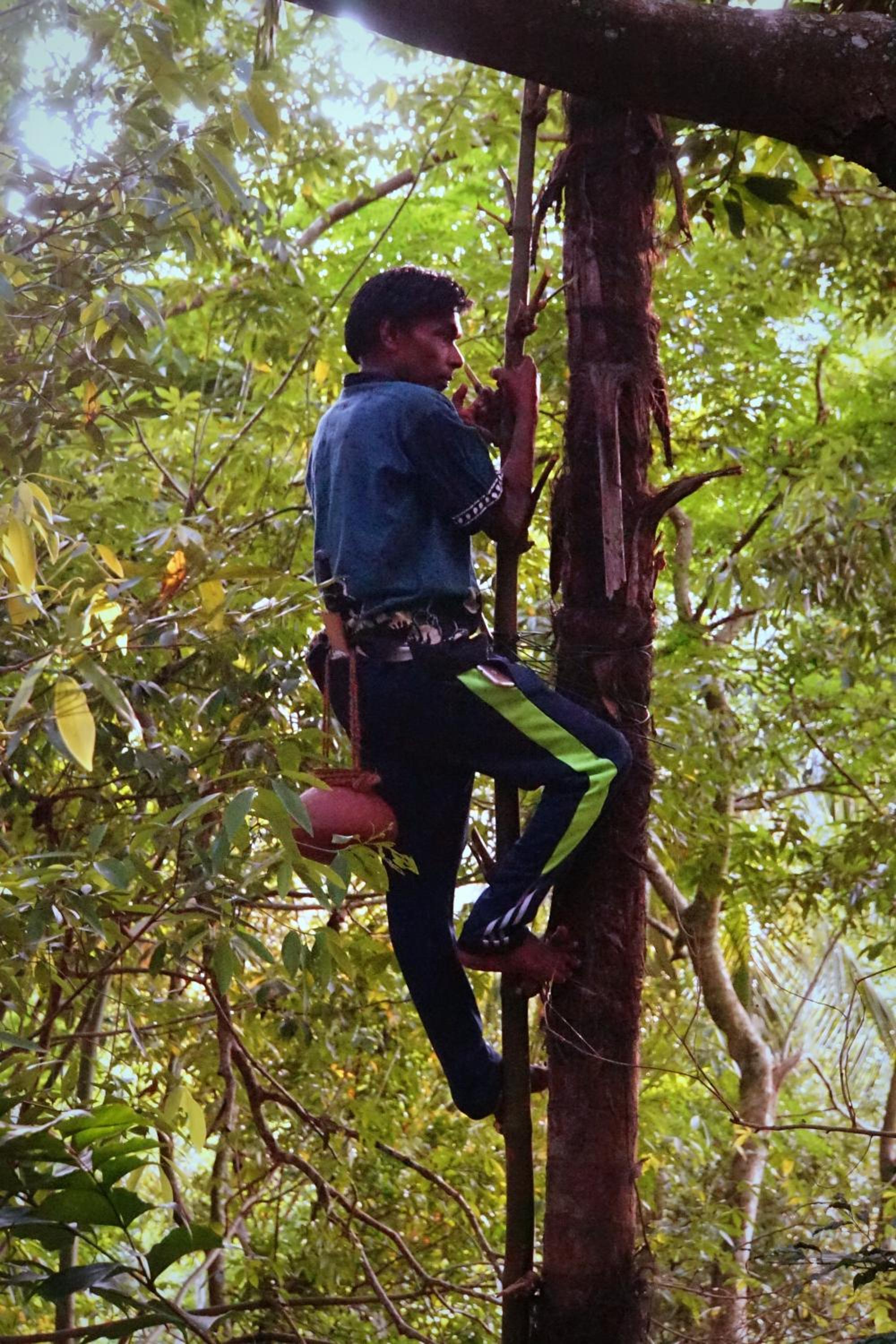 Kandy Nature Resort view 3