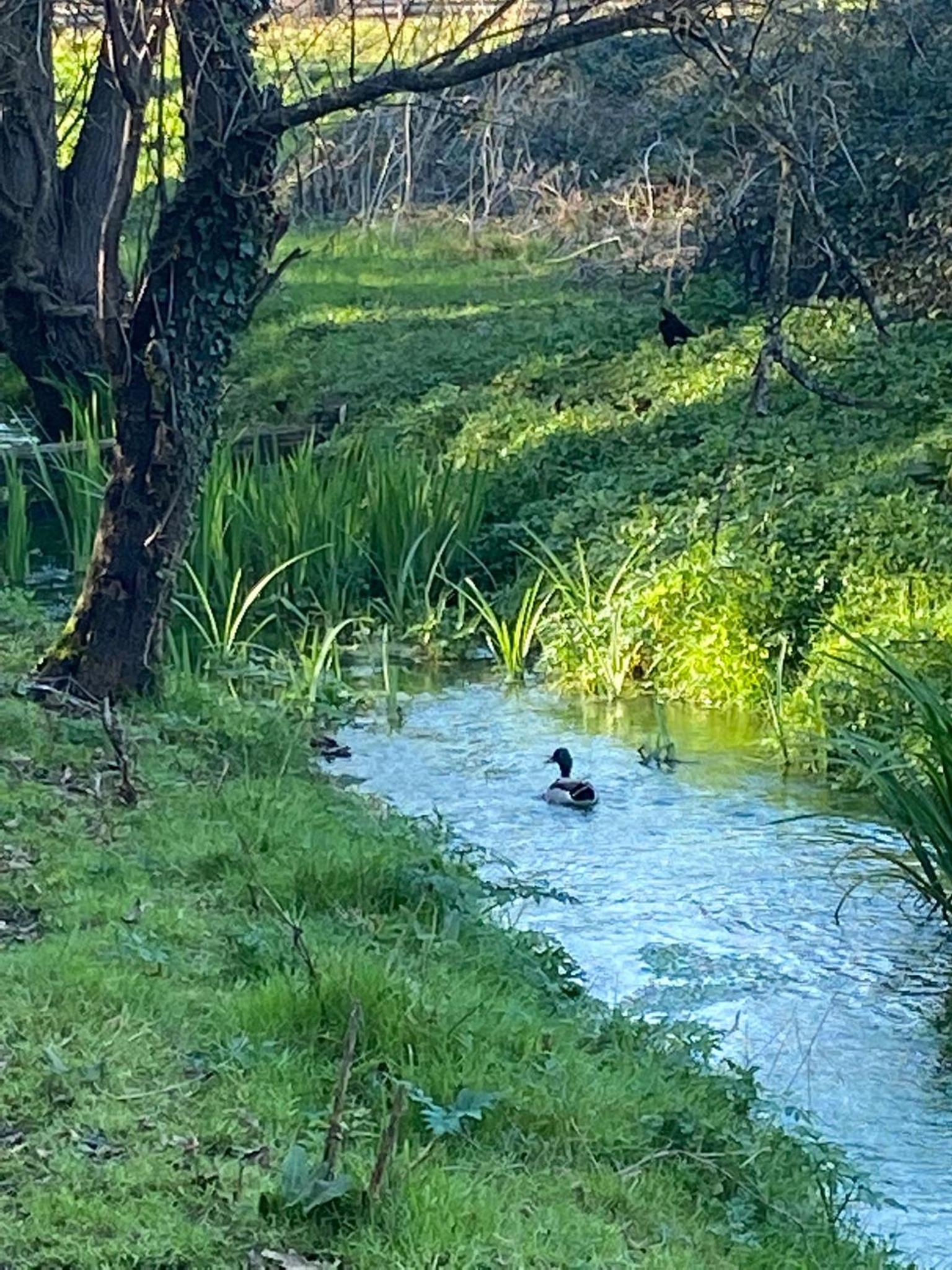 Photo 32