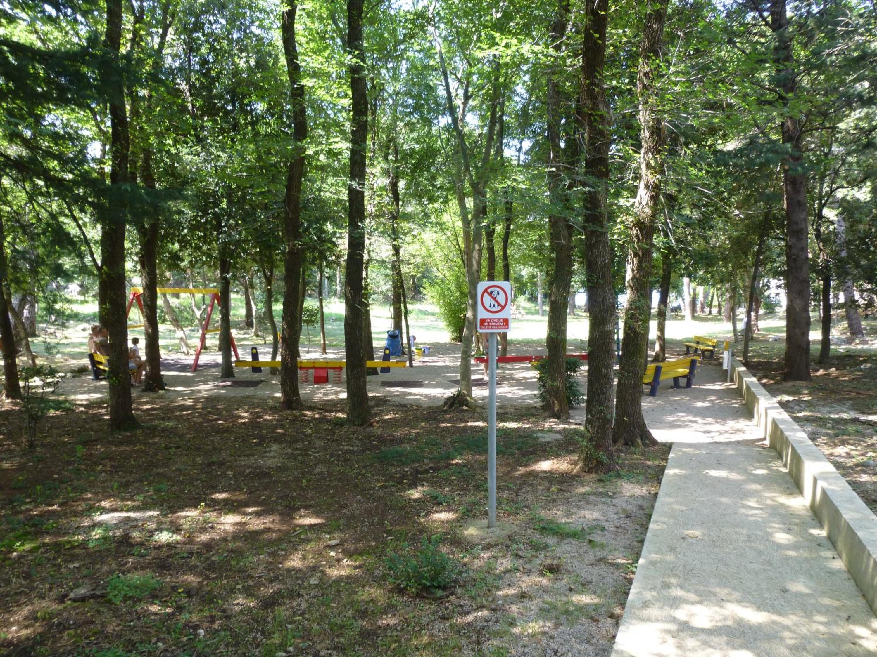 Photo 42