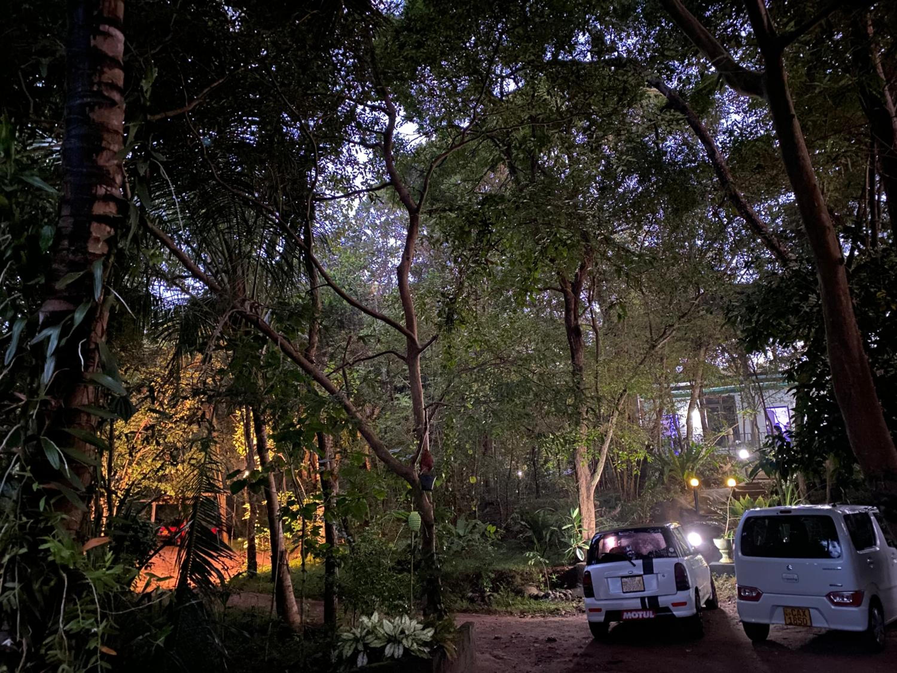 parking