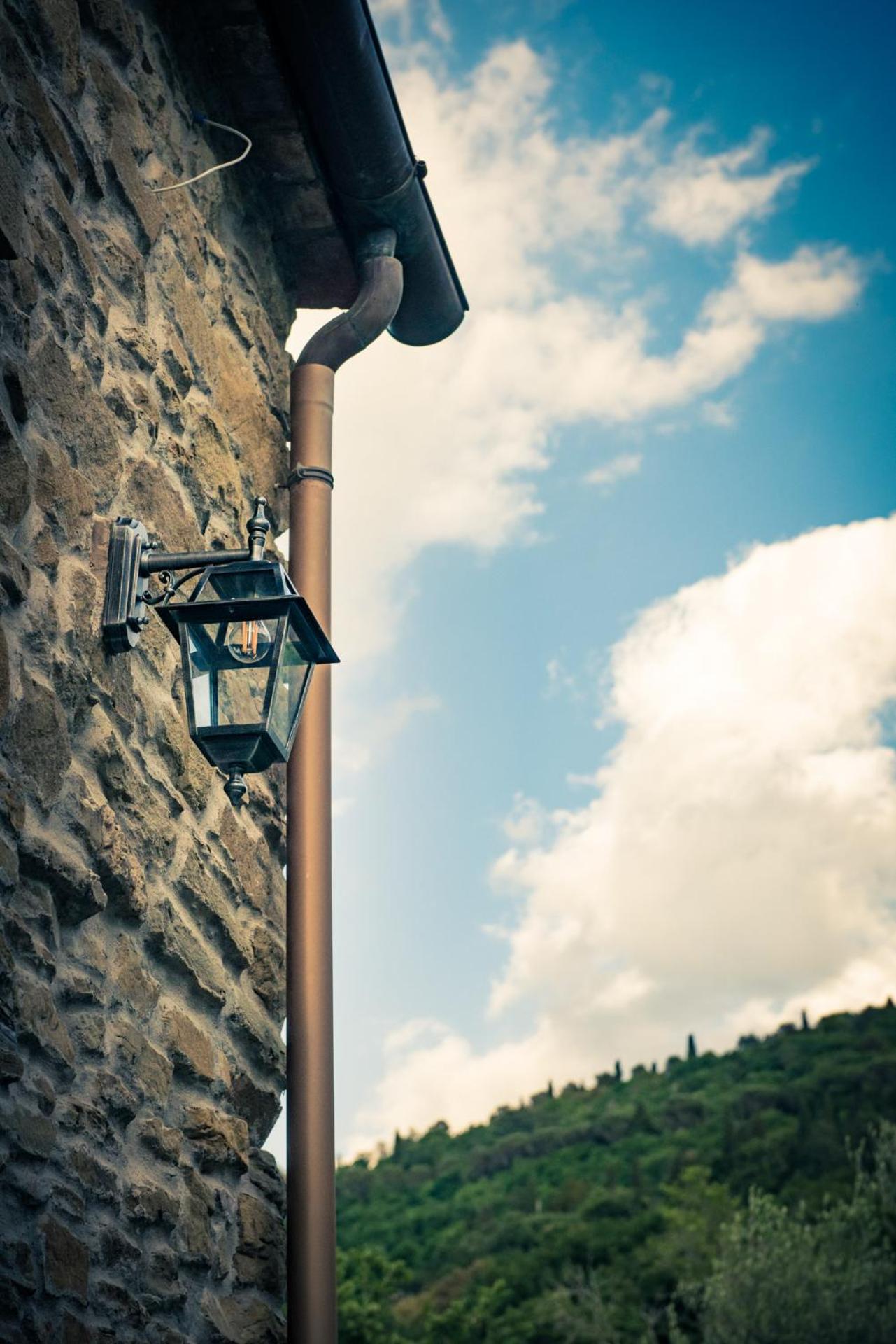 fringuello - Mandorlo photo 3