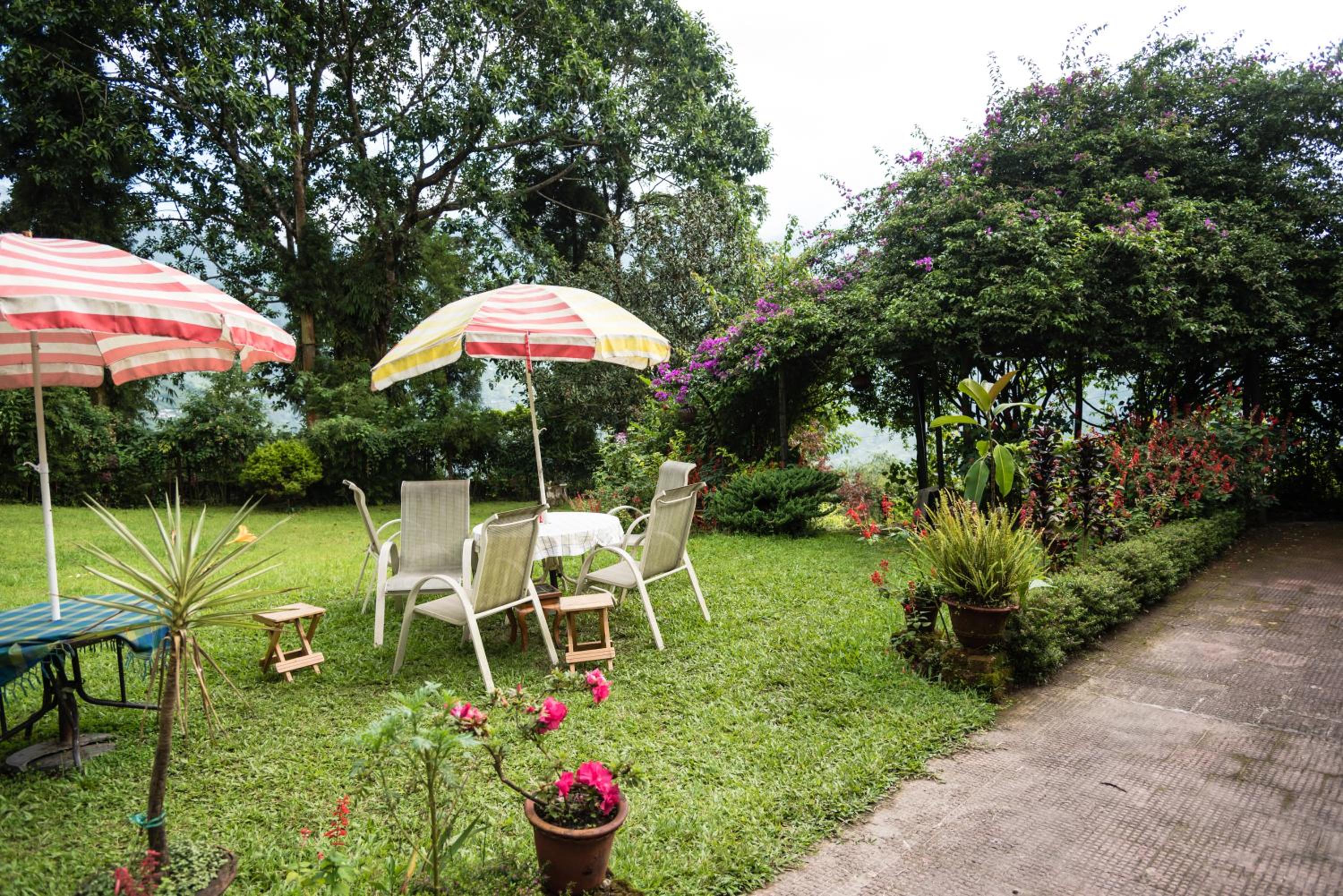 Singtom Tea Resort view 5