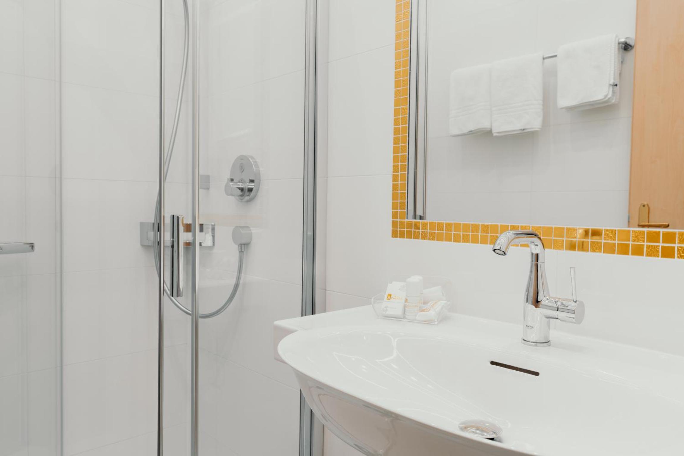 Salzburg Vacations - Hotel Scherer - Property Image 102