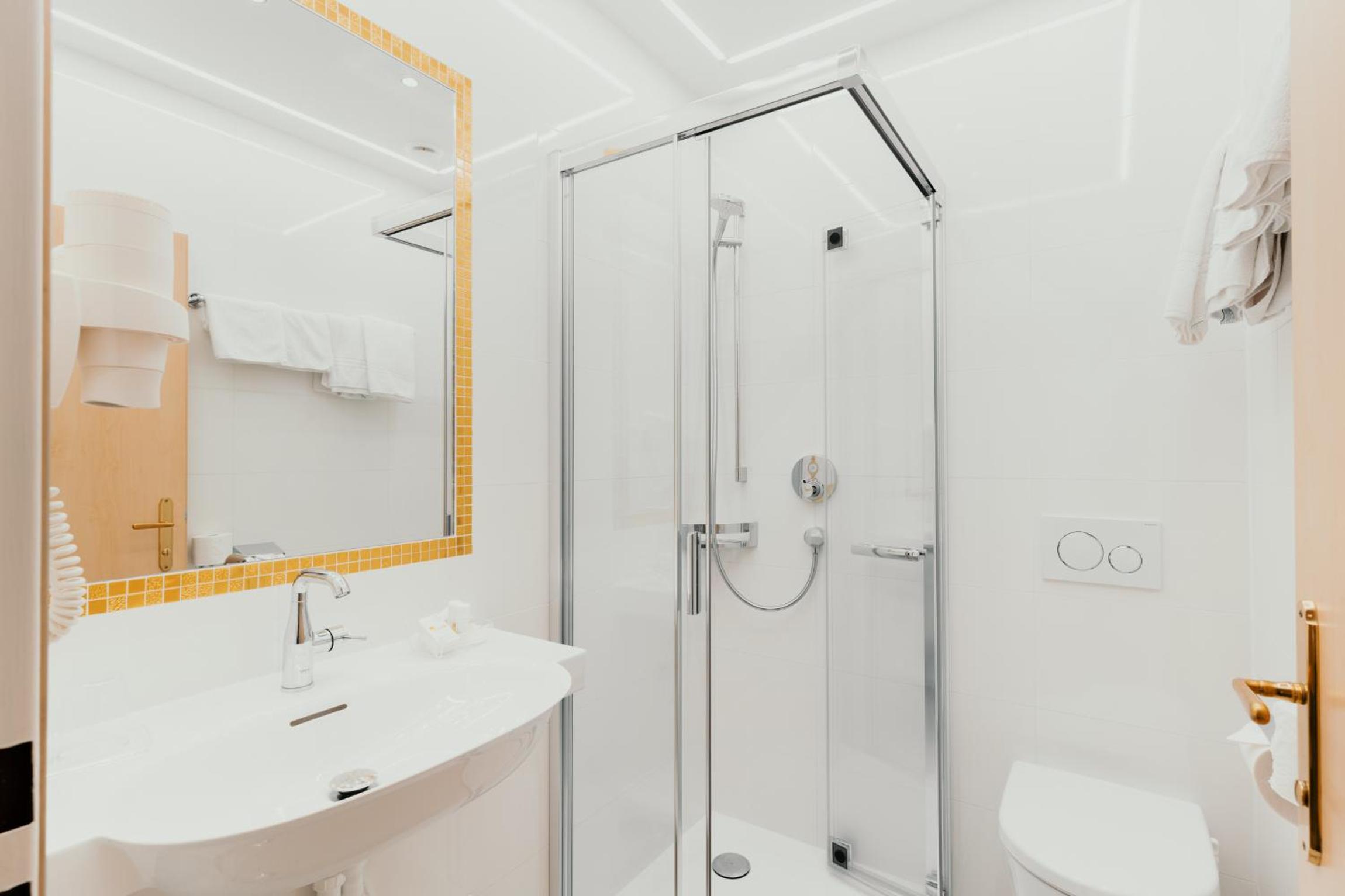 Salzburg Vacations - Hotel Scherer - Property Image 107