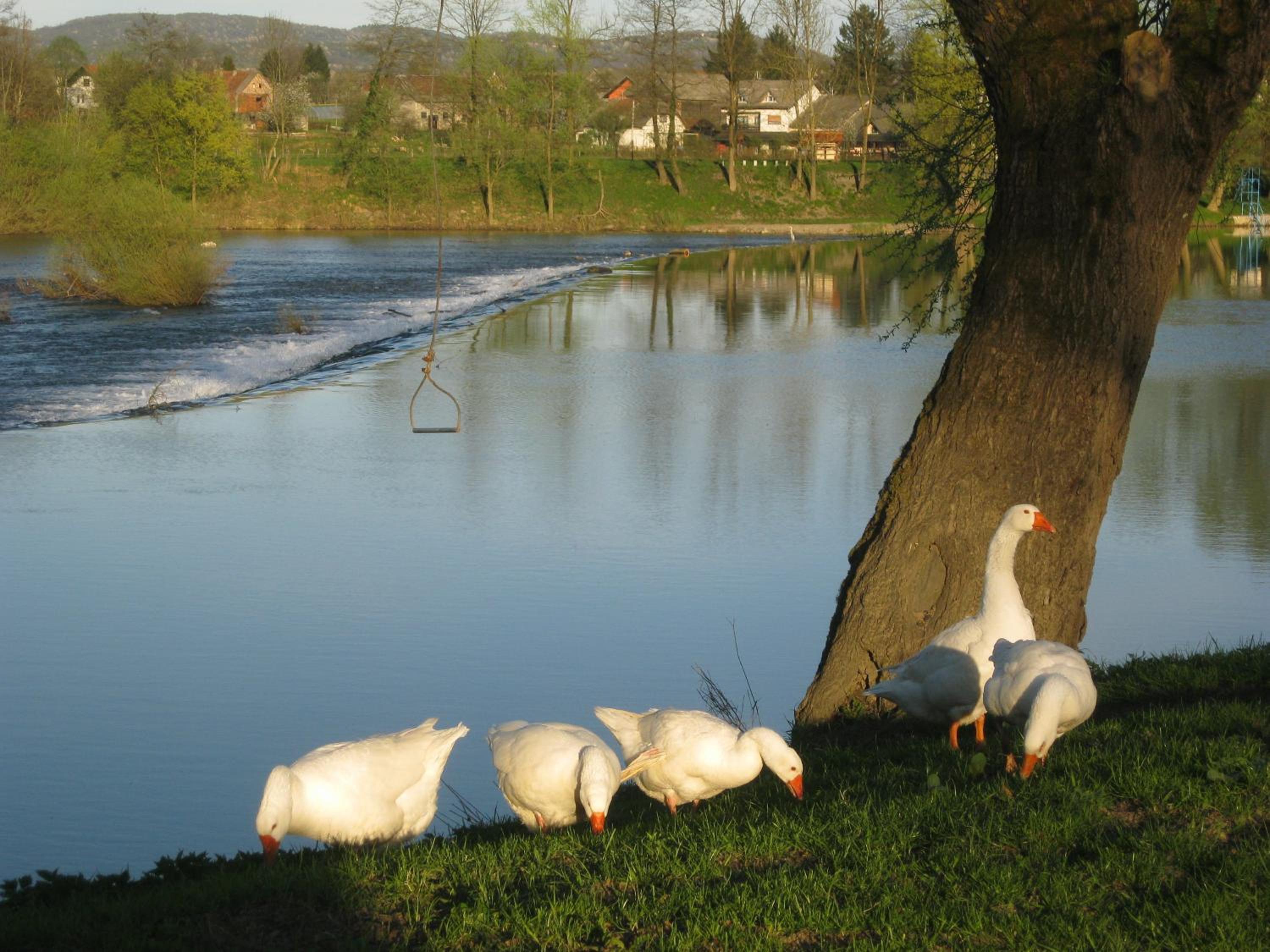 Photo 47