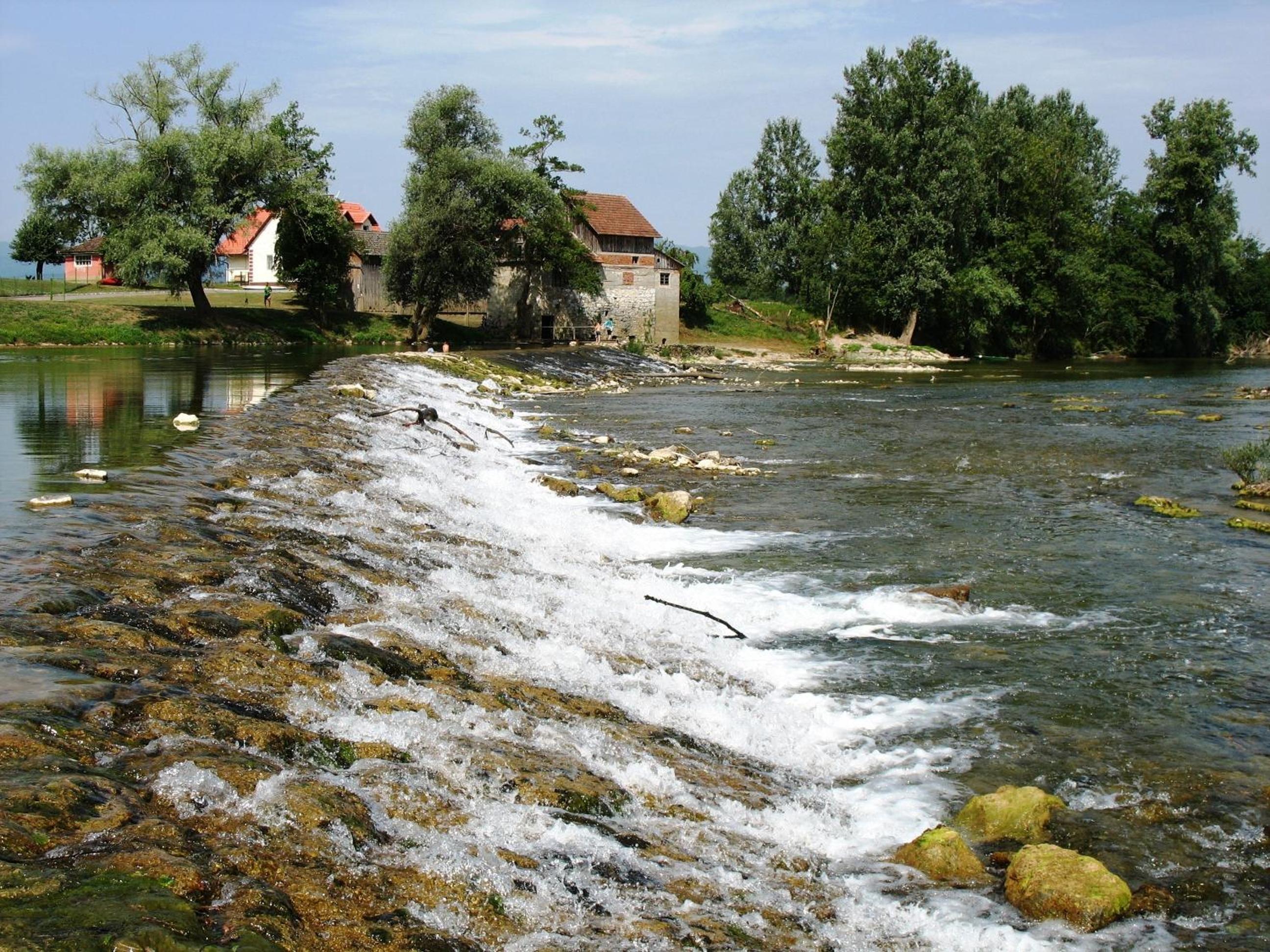 Photo 46