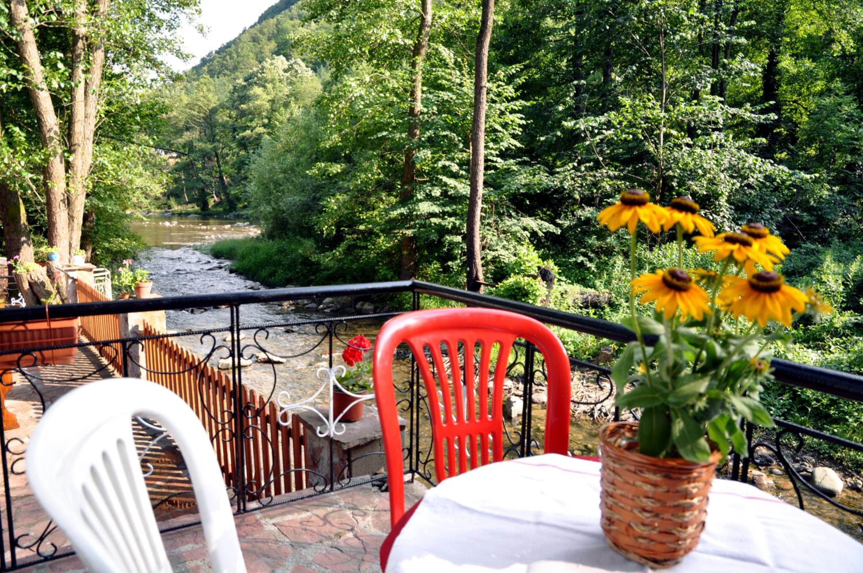 House By The River