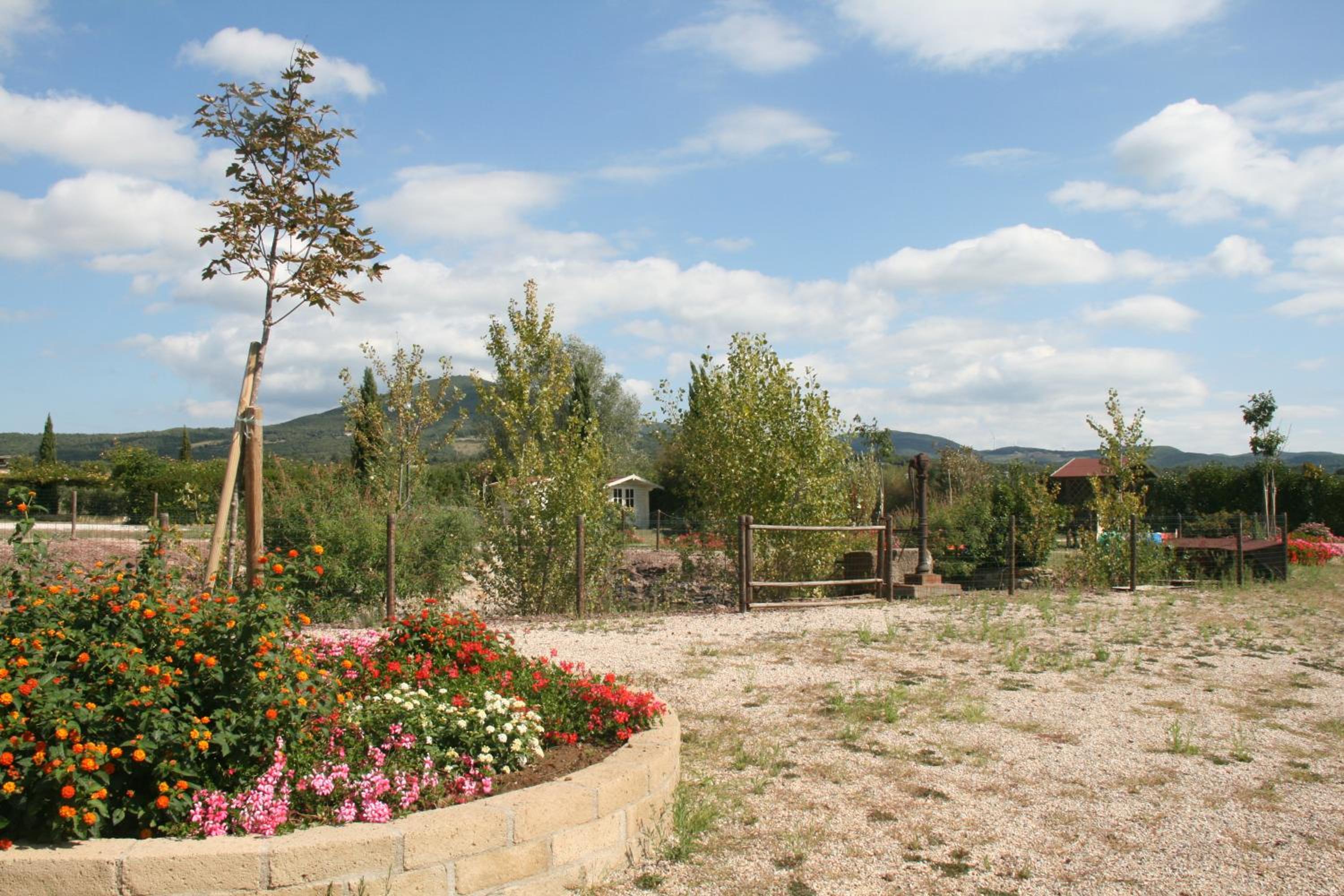 Glamping Debbiare