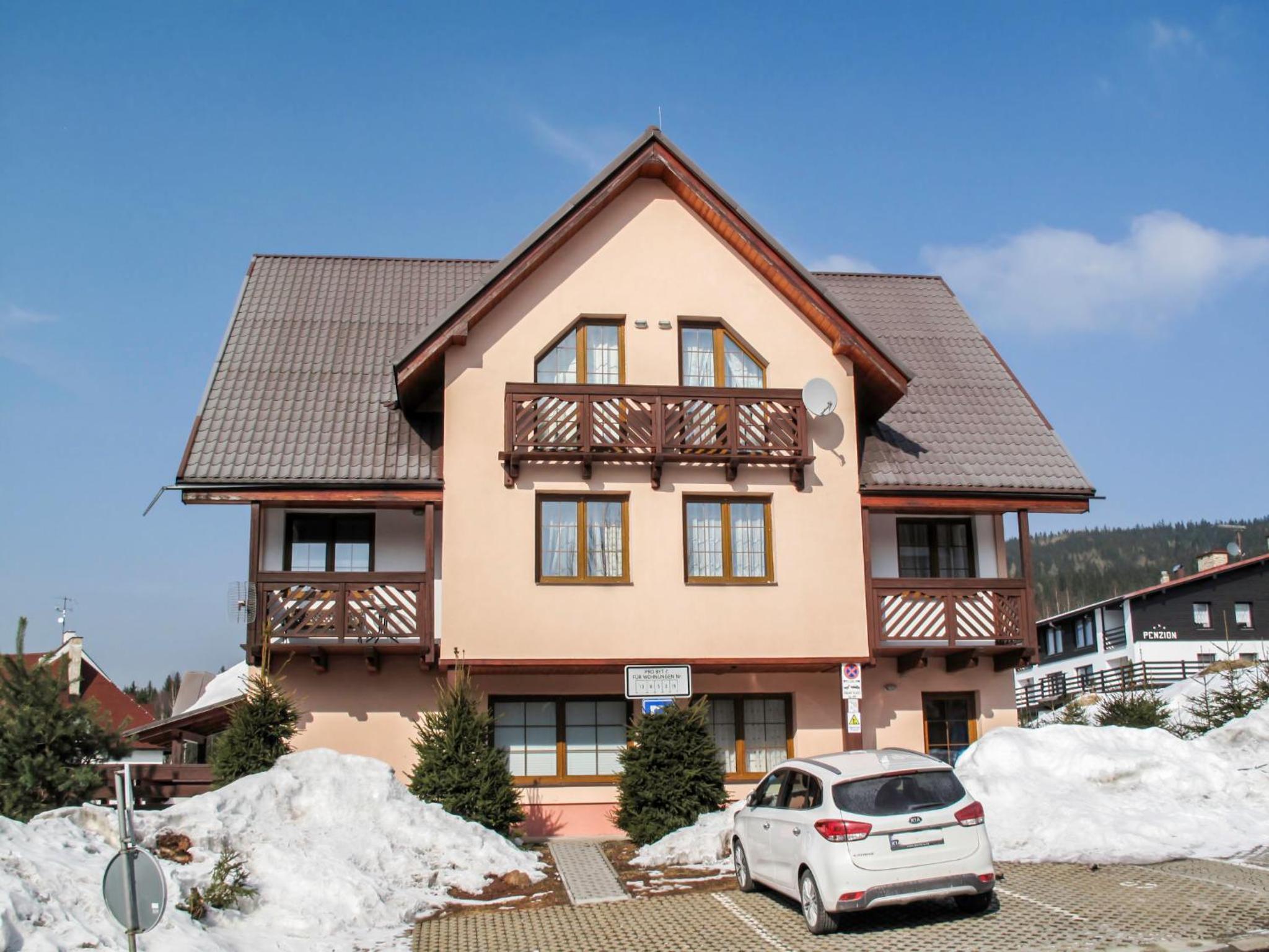 Apartment V Borovicích by Interhome
