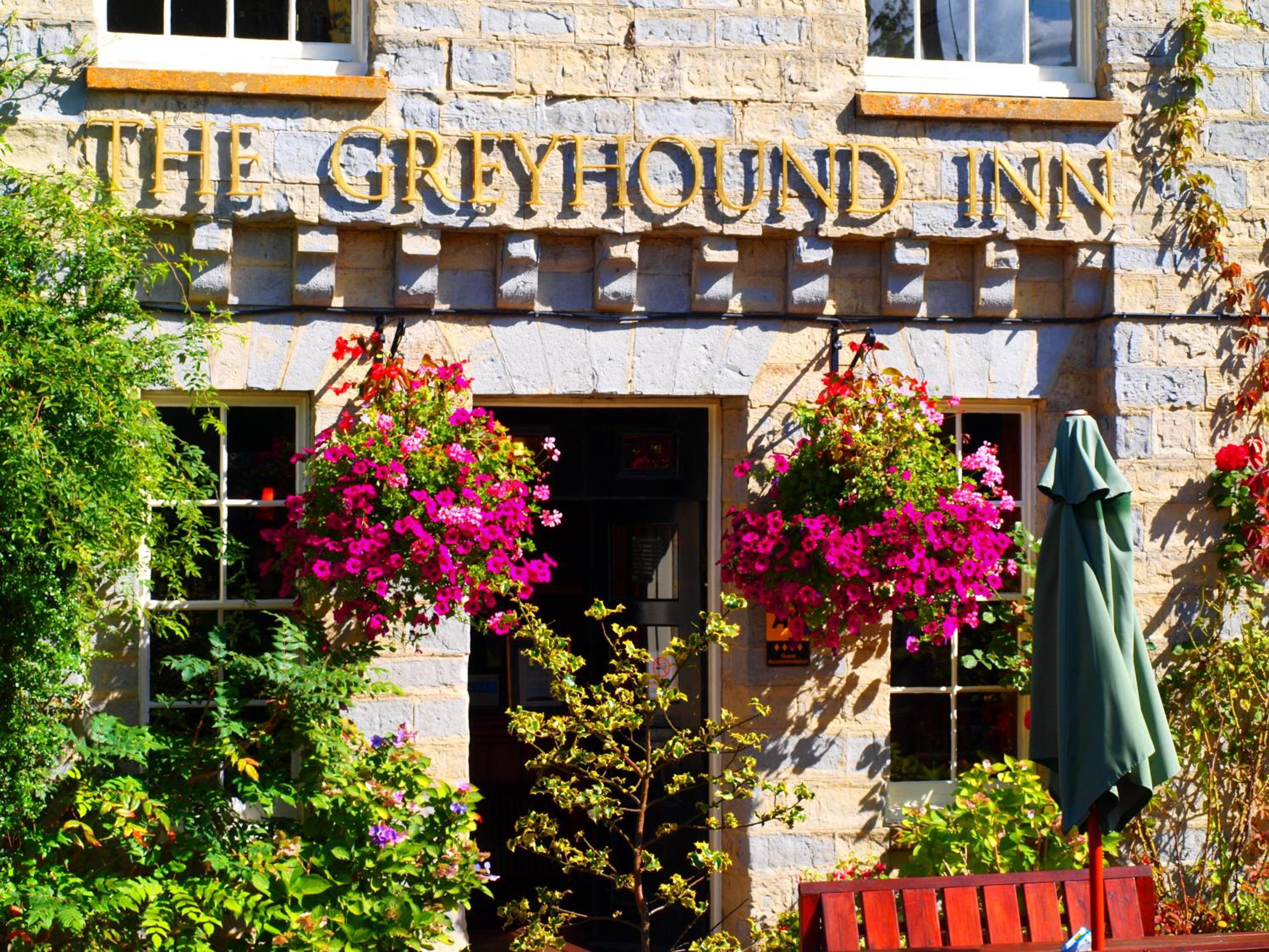 Greyhound
