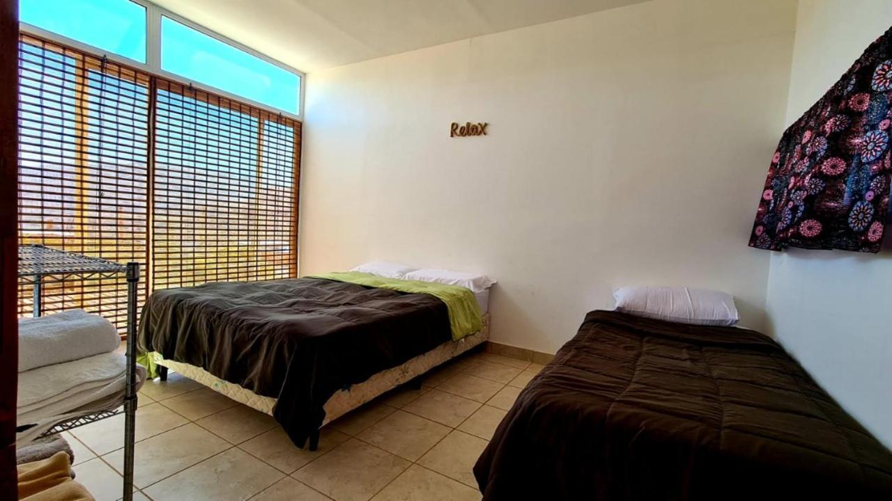 Piuquenes Potrerillos