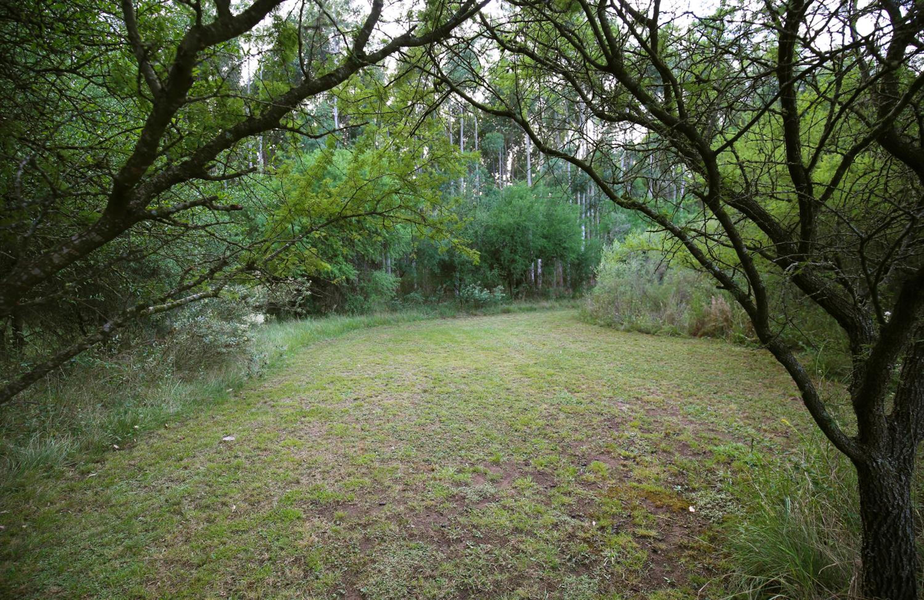 La Trinidad Casa de Campo