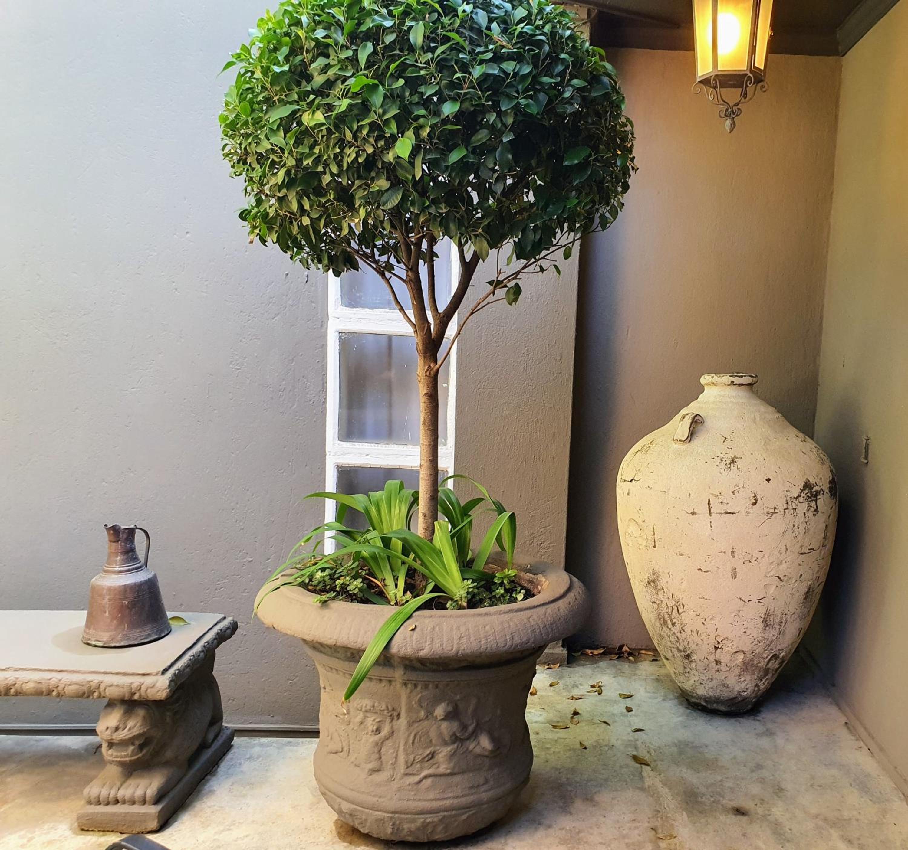 Waterhouse Guest Lodge - Indus Street — photo 40