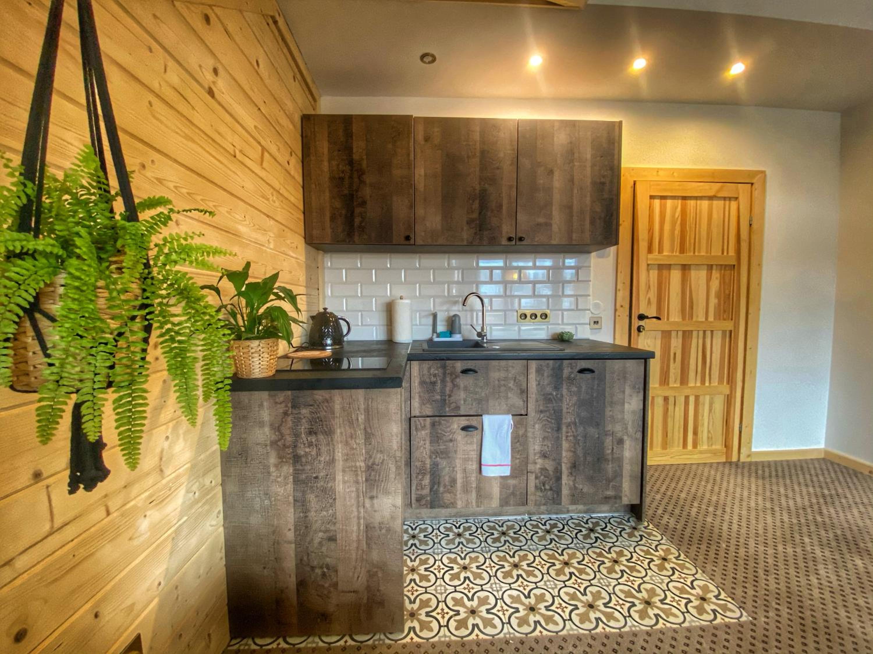 Dziejba Leśna Apartamenty &Spa - piękne i nowe apartamenty i domek, sauna i jacuzzi - W CENIE I NA WYLACZNOŚĆ, 1 km od stoku