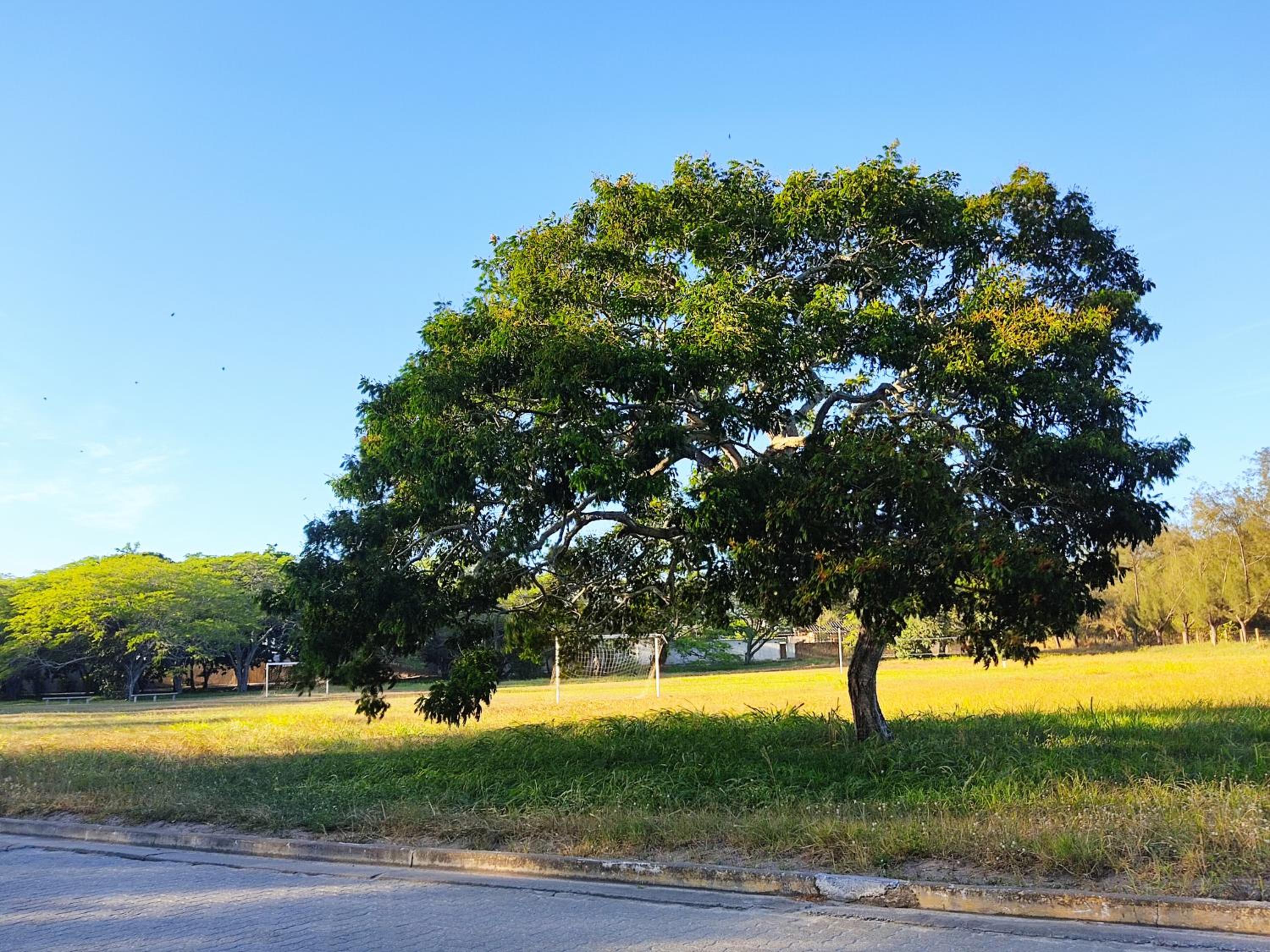 Casa 200 Arraial