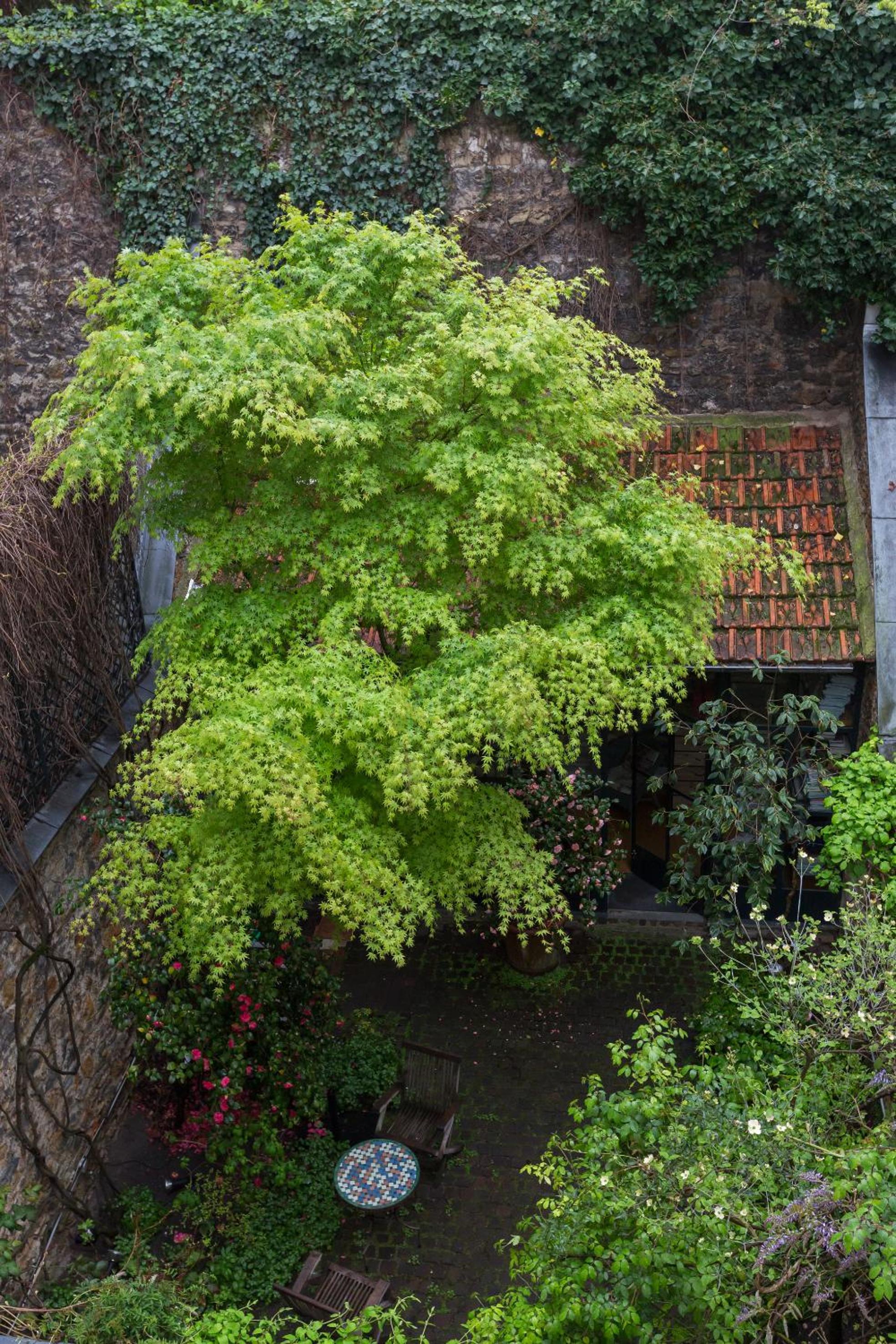 Veeve - Charming Townhouse near Parc Montsouris