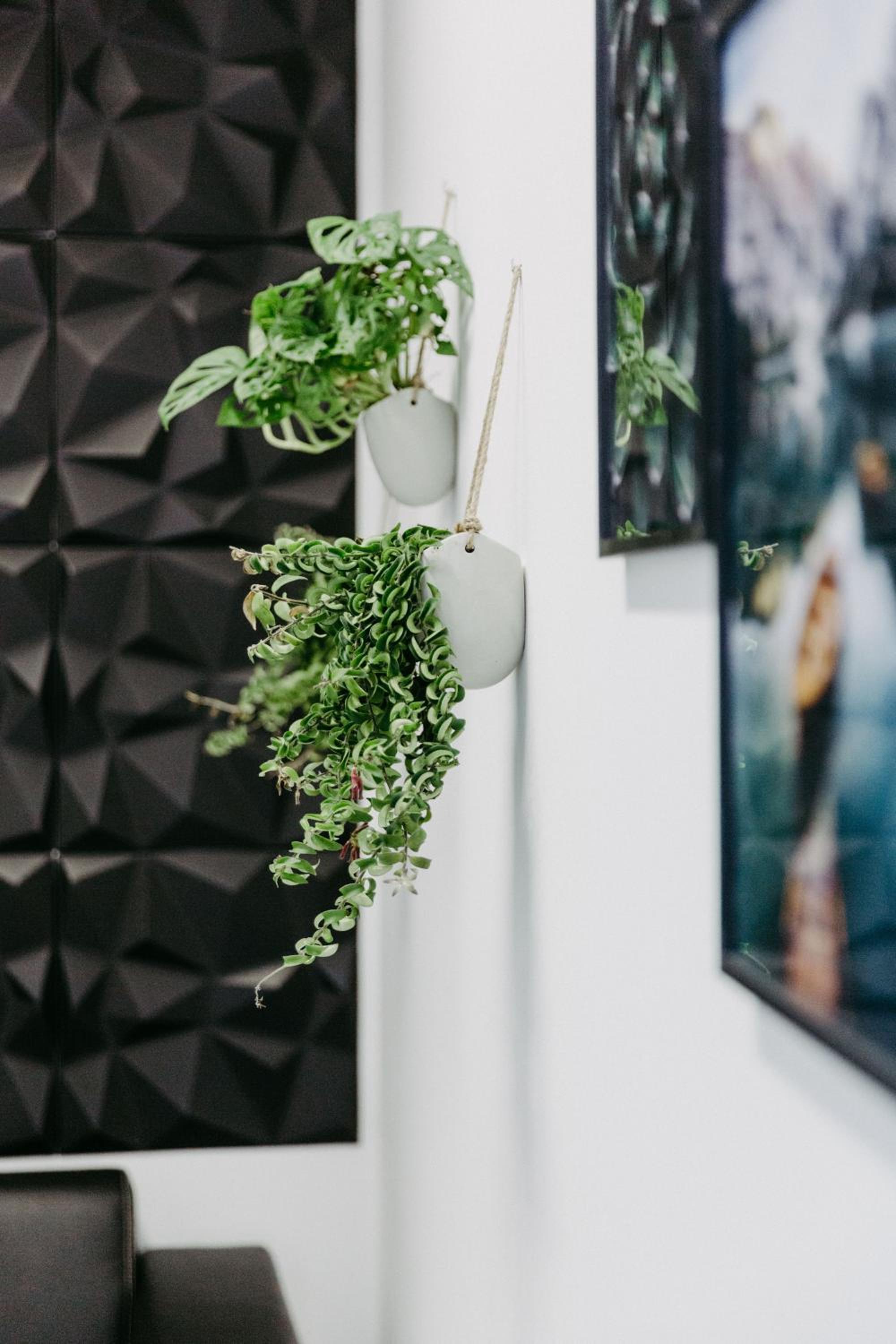 Modernes, stilvolles eingerichtetes Loft