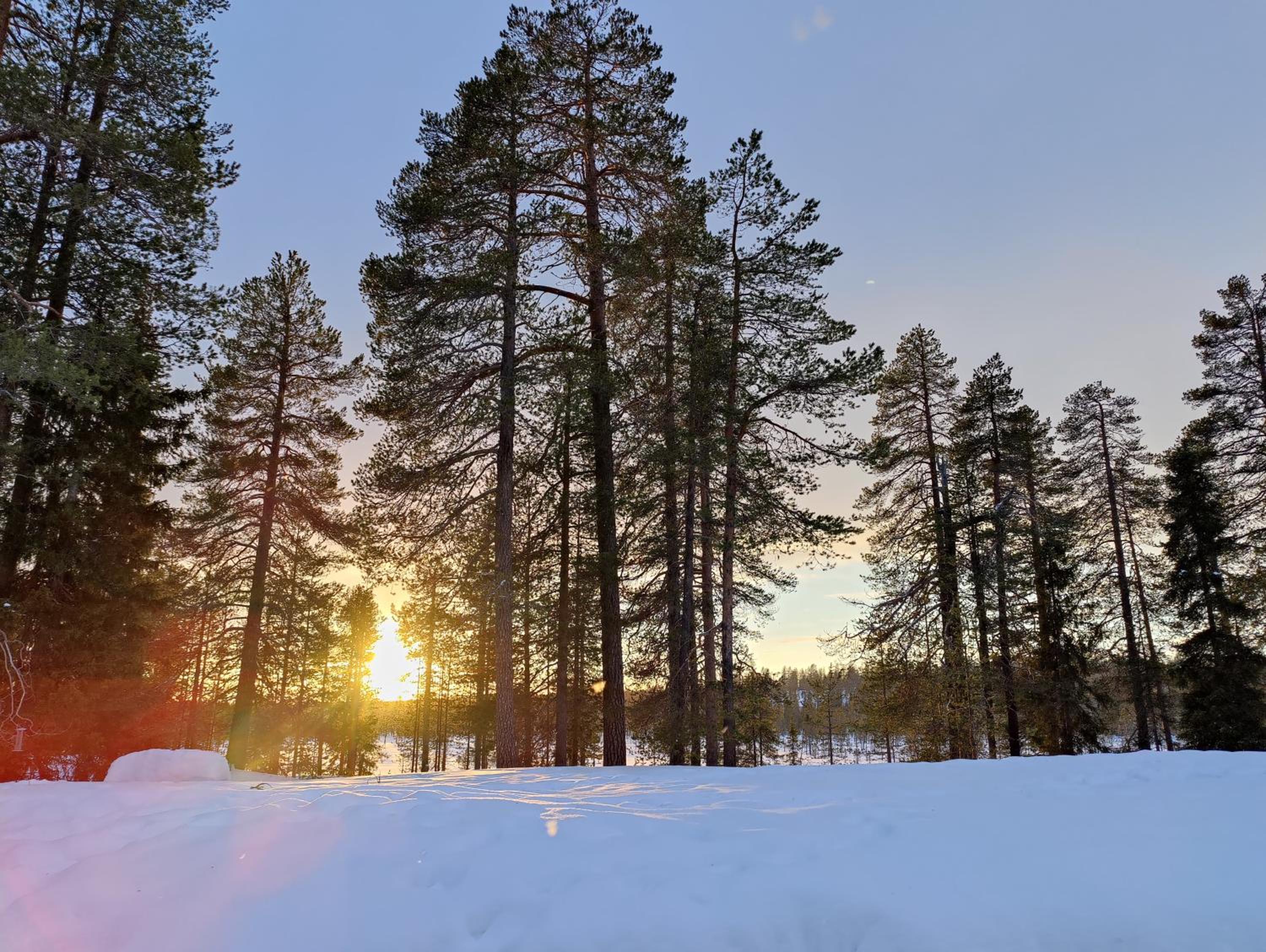 Ylläksen Metsäpirtti - Ulkoilijan koti