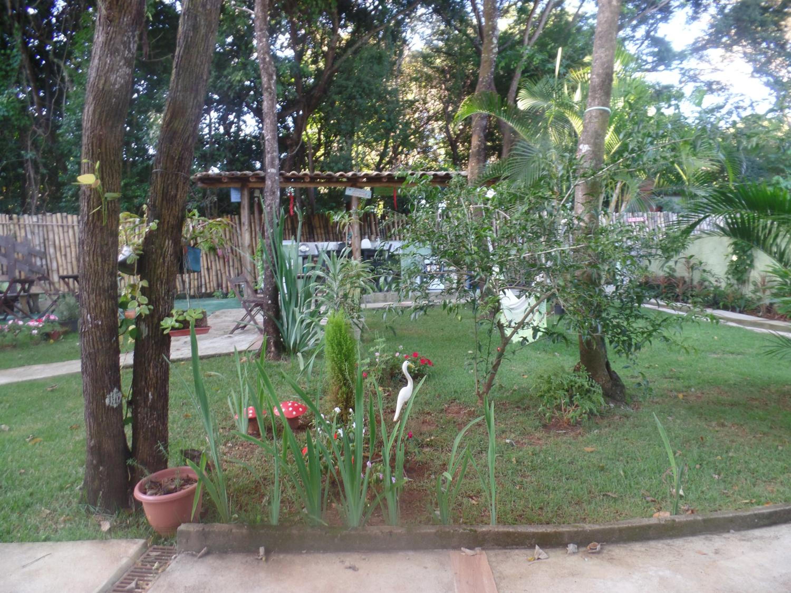 Photo 32