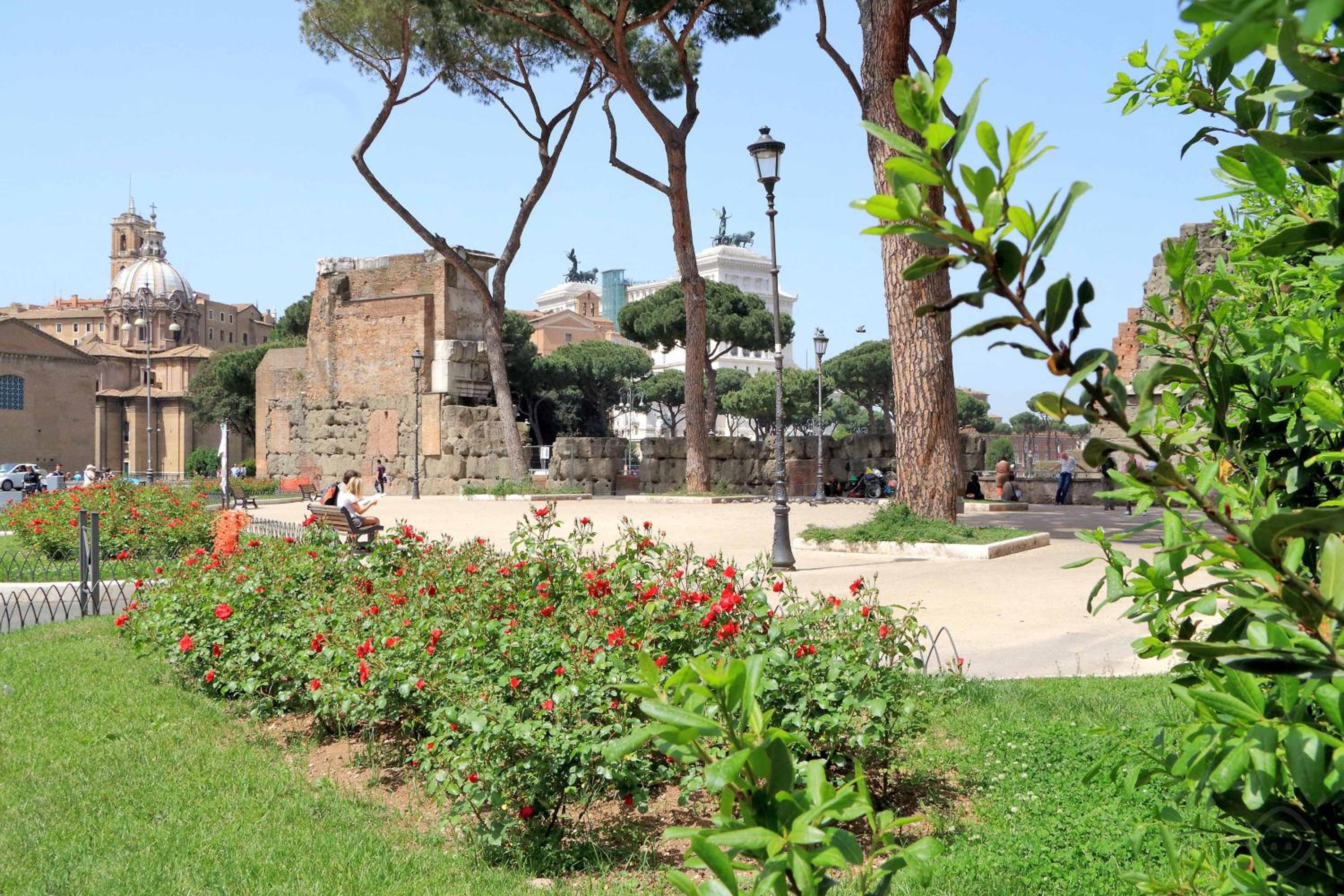 Roman Holiday Colosseo