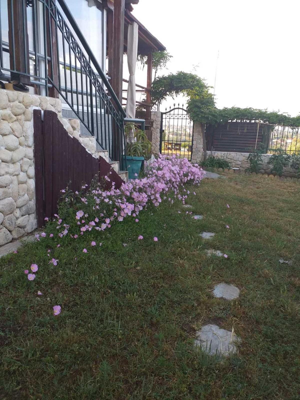 Photo 53