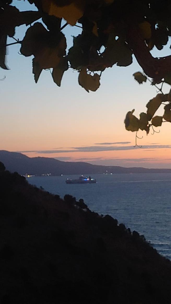 Vila Orizzonte blue