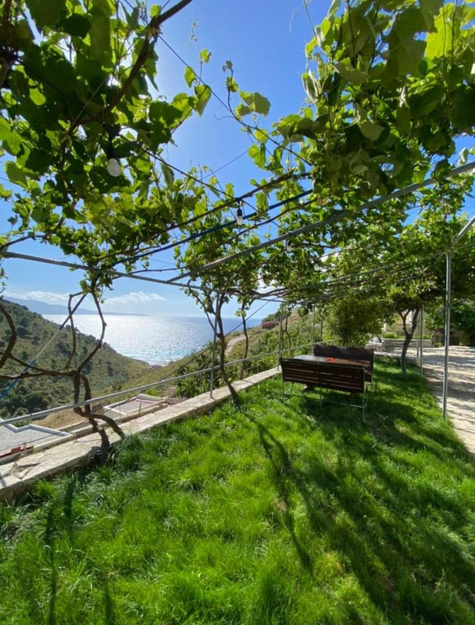 Vila Orizzonte blue