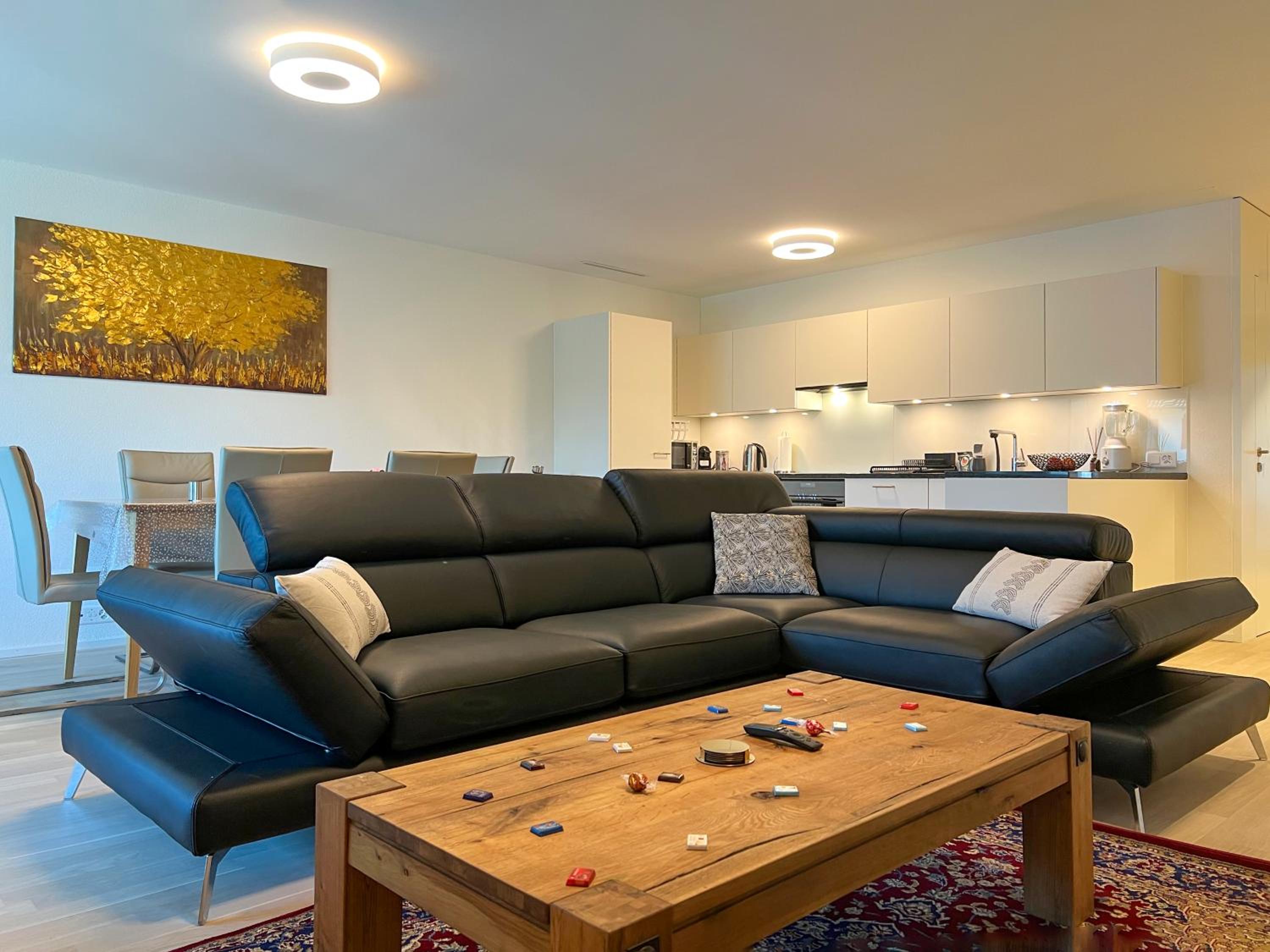 Lavish 4.5 rooms furnished apartment @Glattbrugg view 5