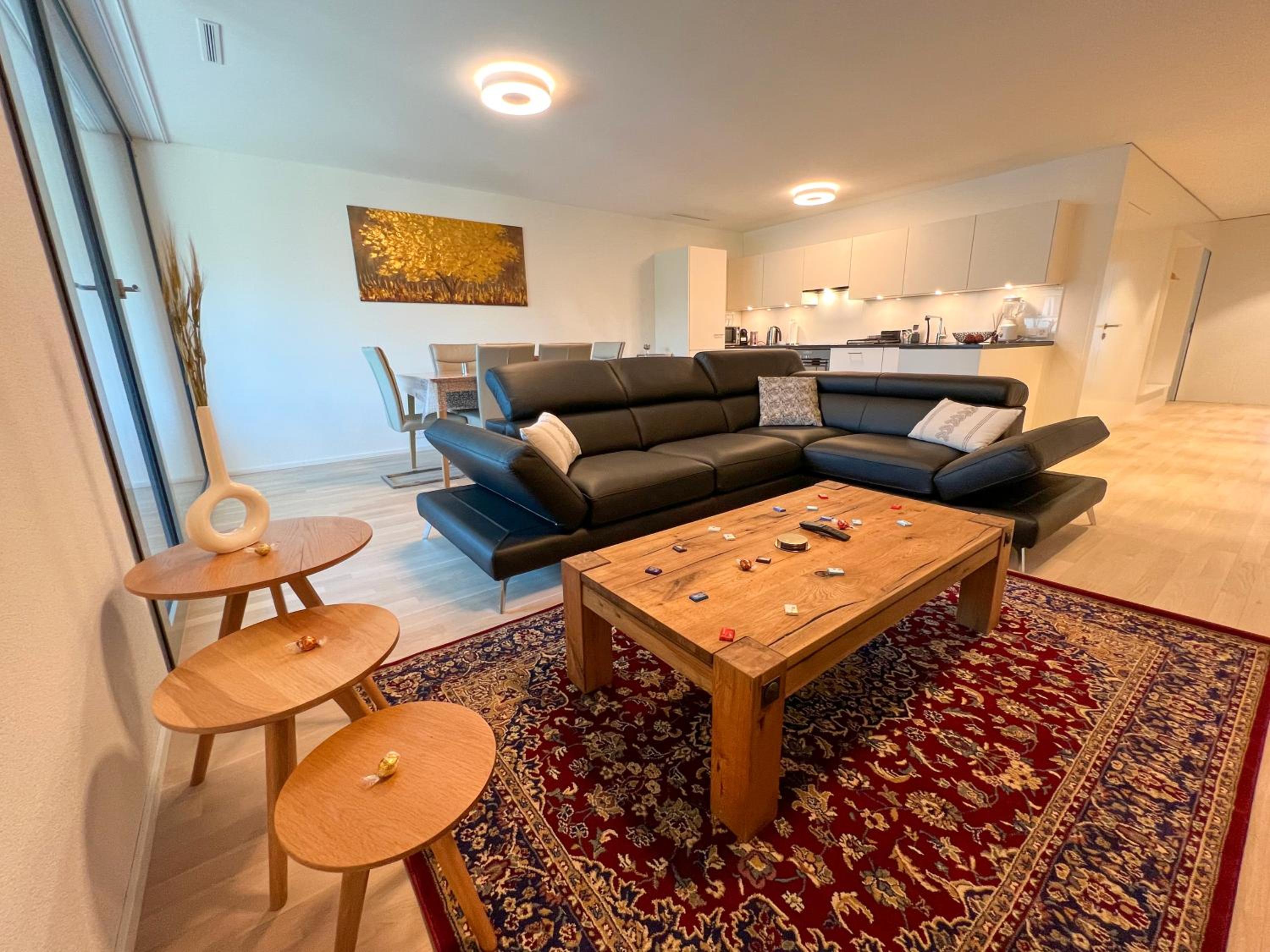 Lavish 4.5 rooms furnished apartment @Glattbrugg view 4