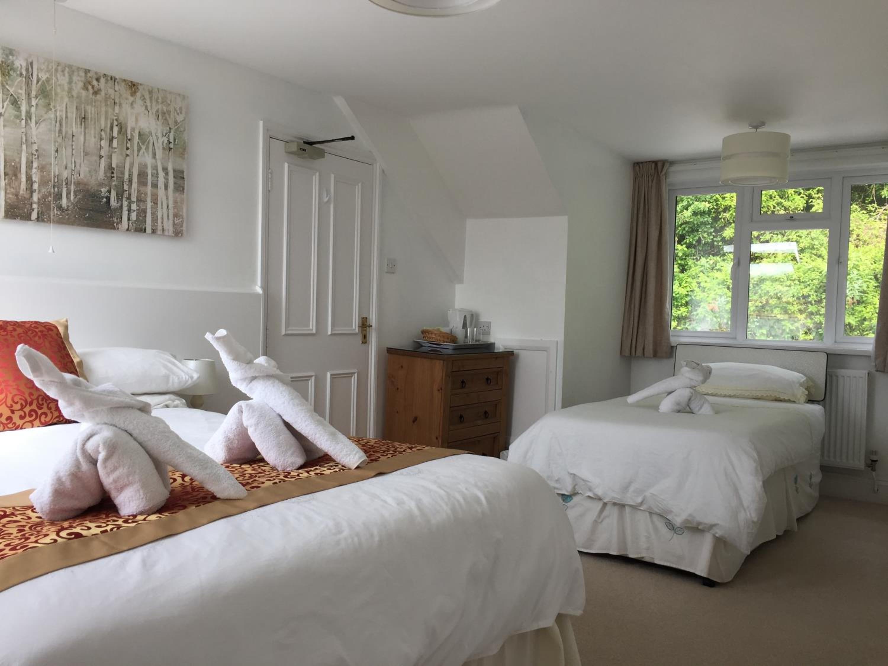 Looe Vacations - Silver Birch Guesthouse - Property Image 50