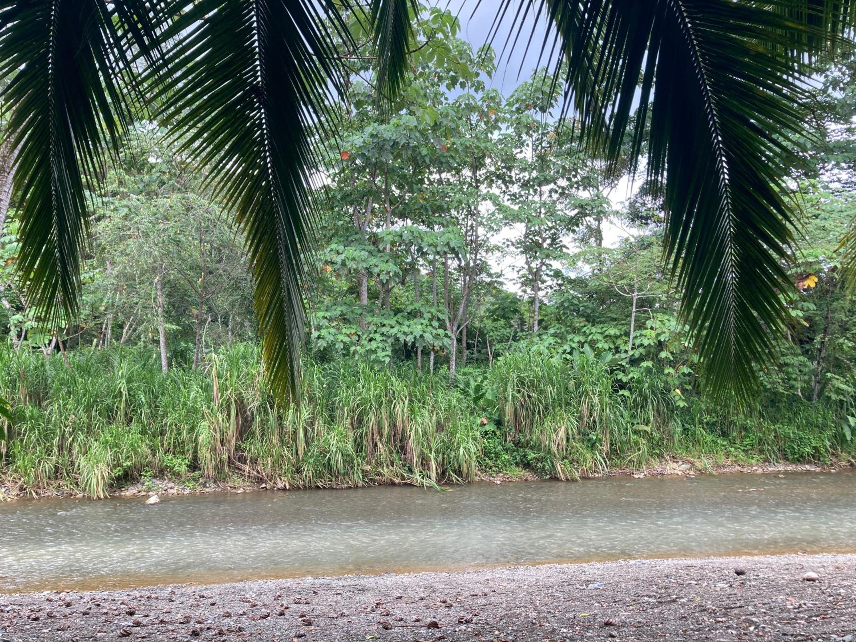 YEJOS Jungle Lodge
