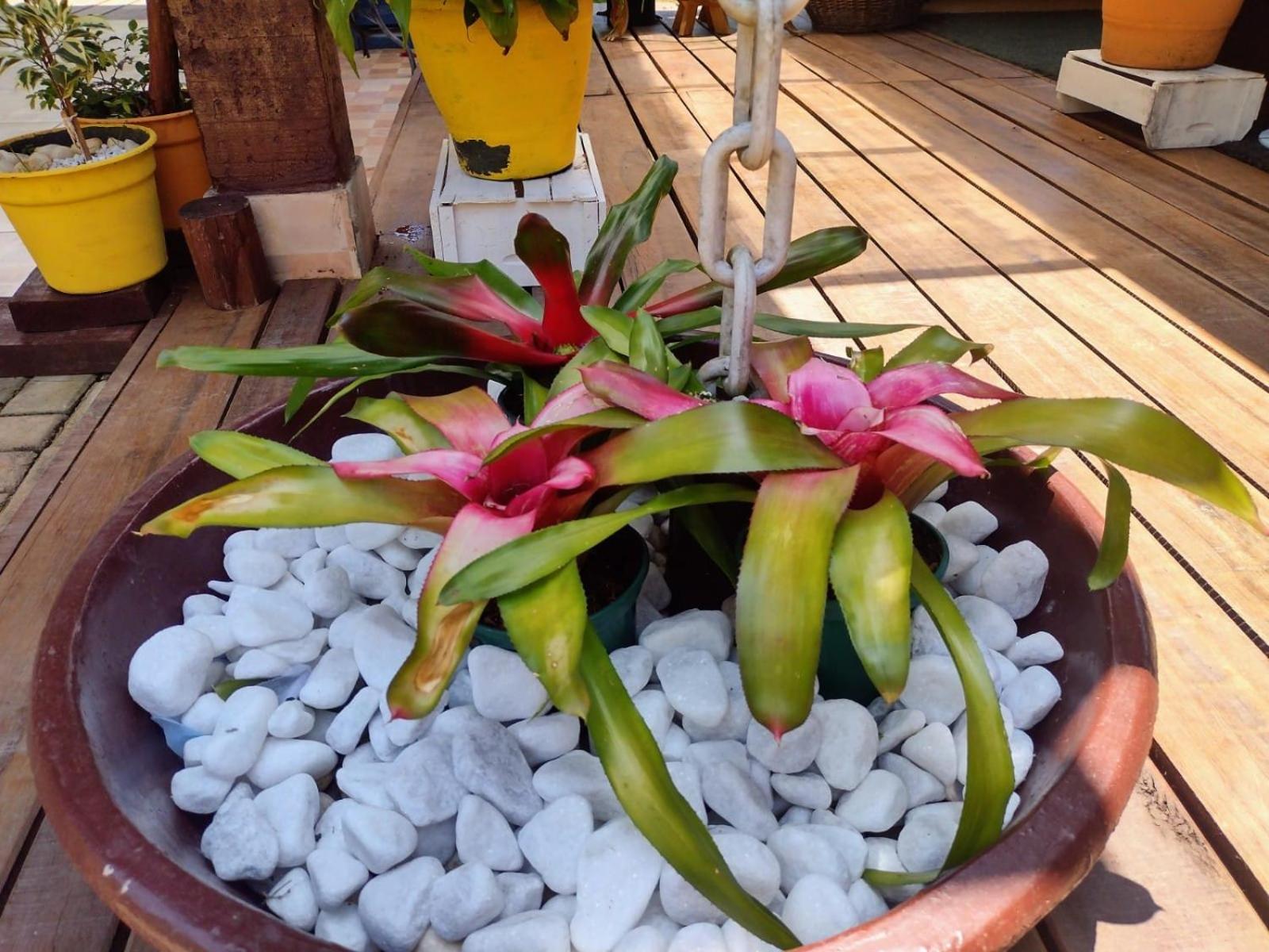 Rancho Zé Valentim