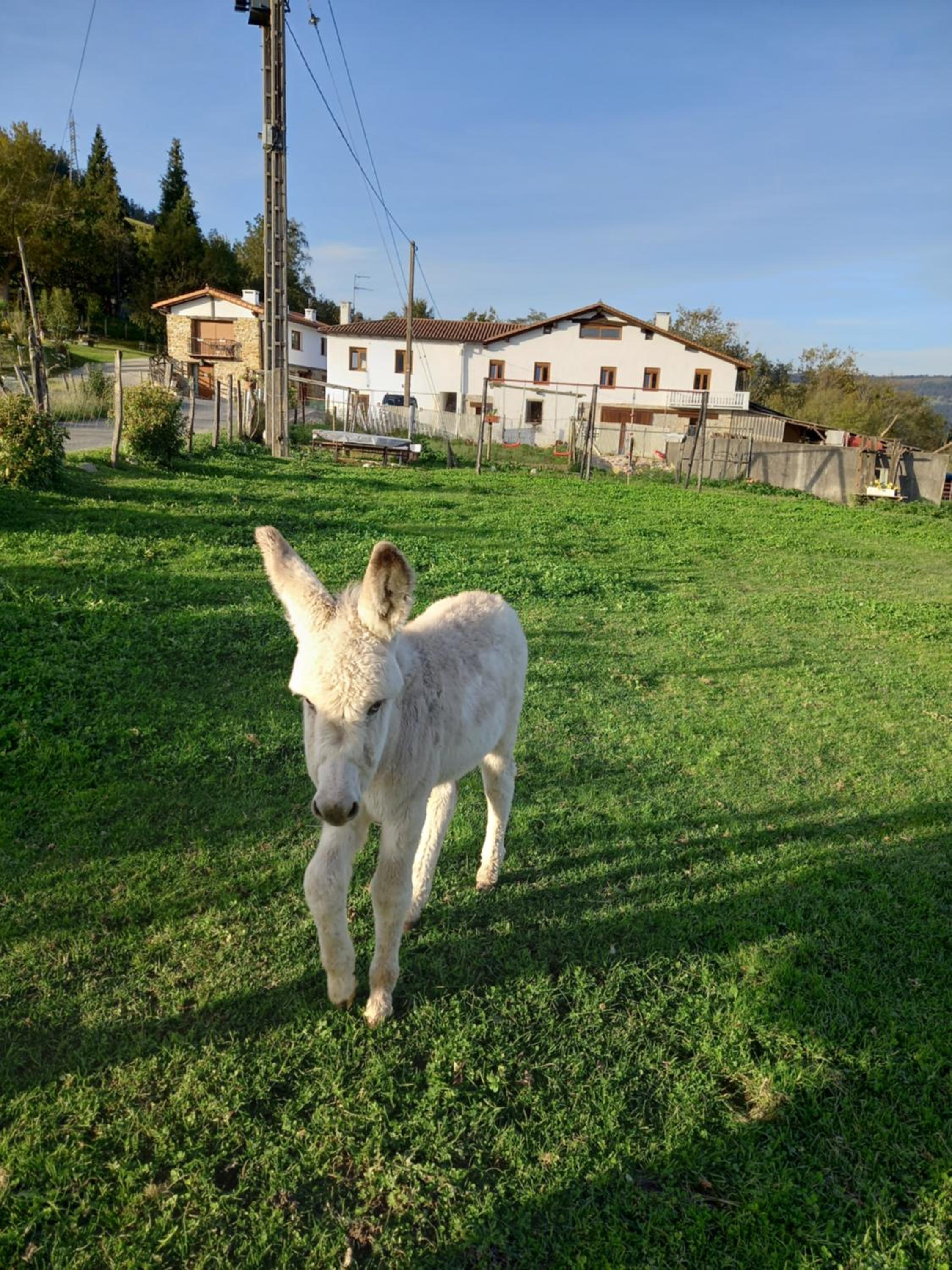 Agroturismo Pagoederraga