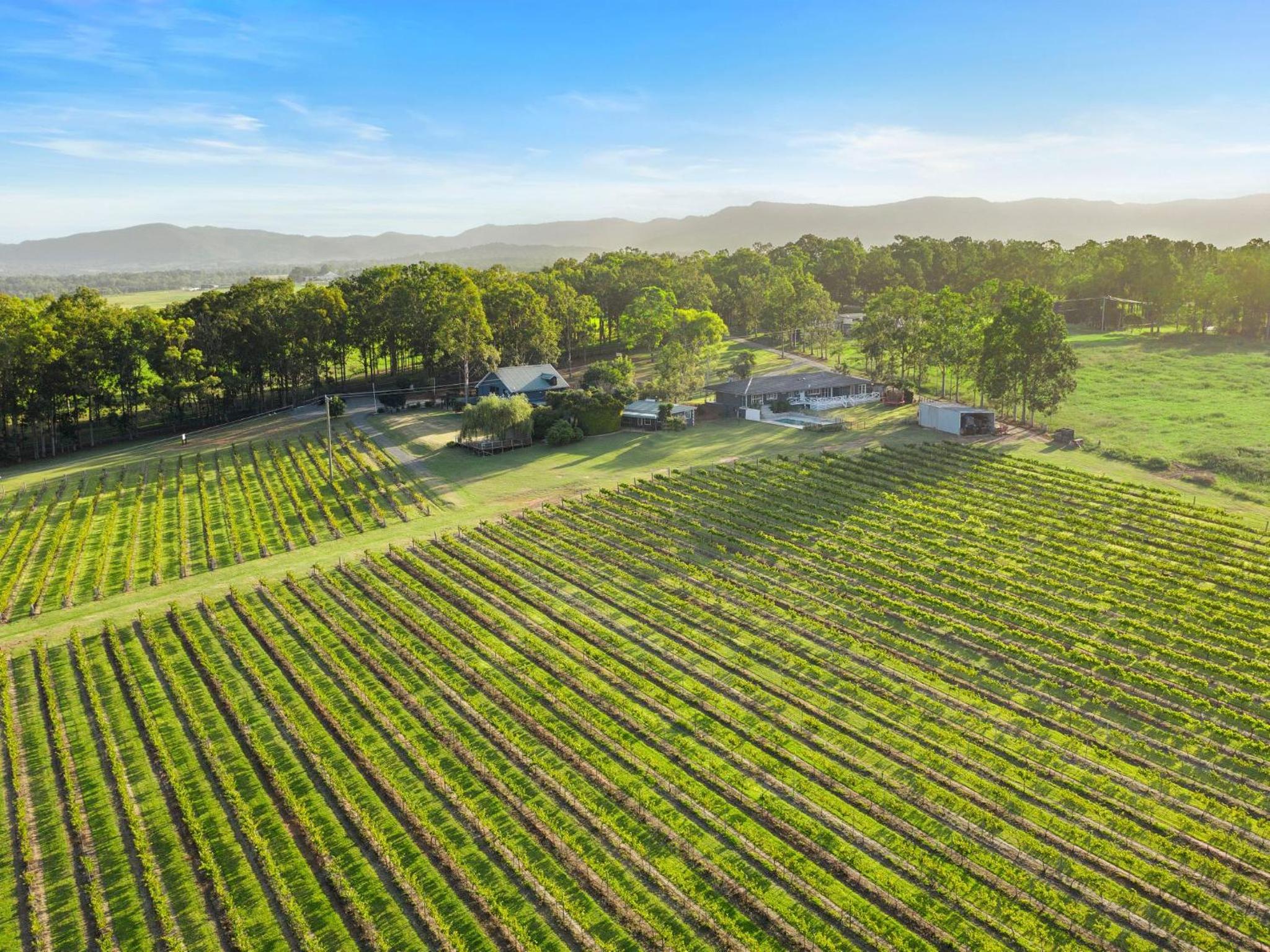 Palmers Lane On Vineyard 5br Homestead with Pool