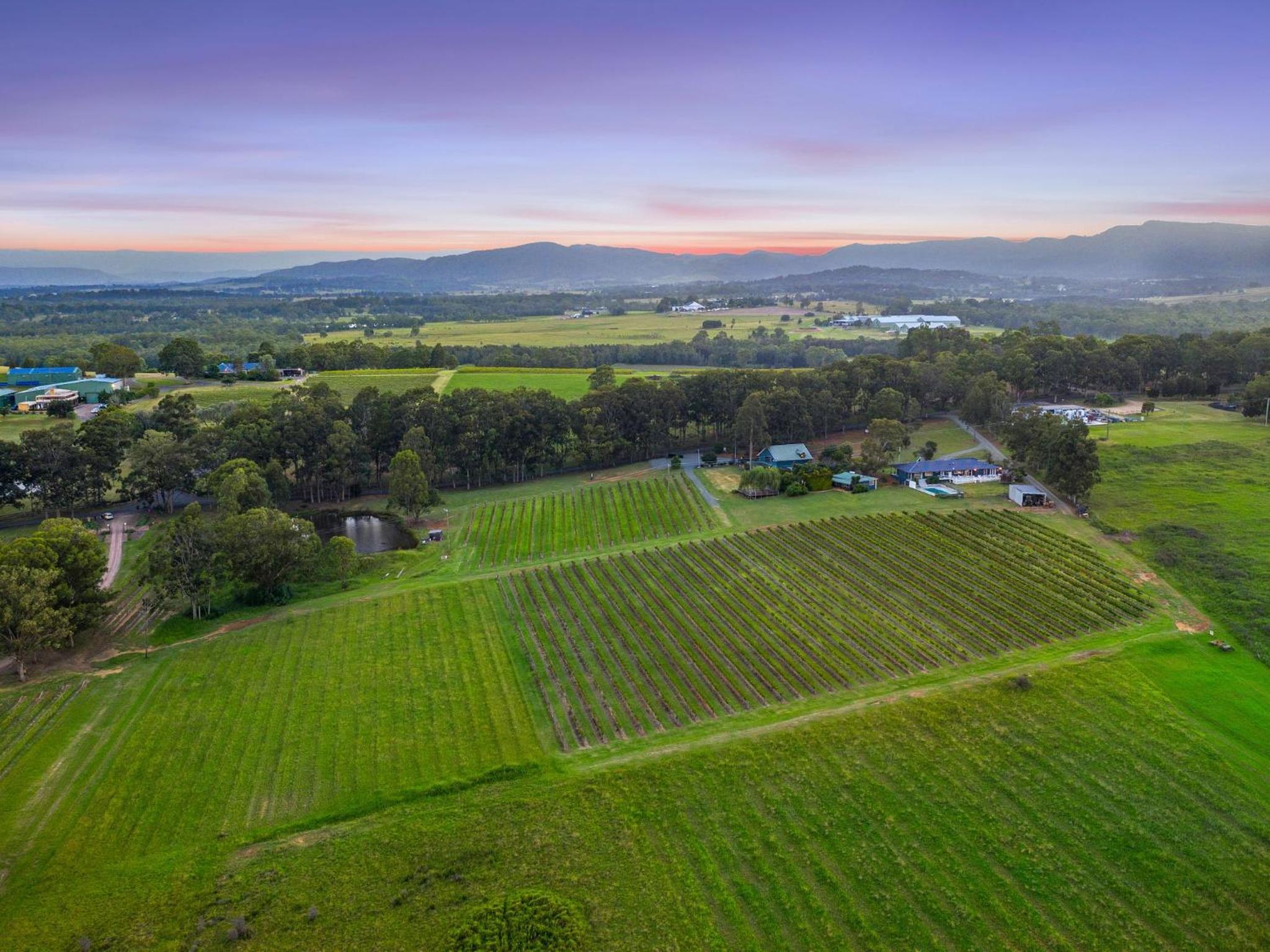 Palmers Lane On Vineyard 5br Homestead with Pool