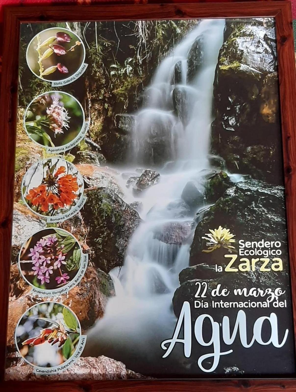D'Antaño