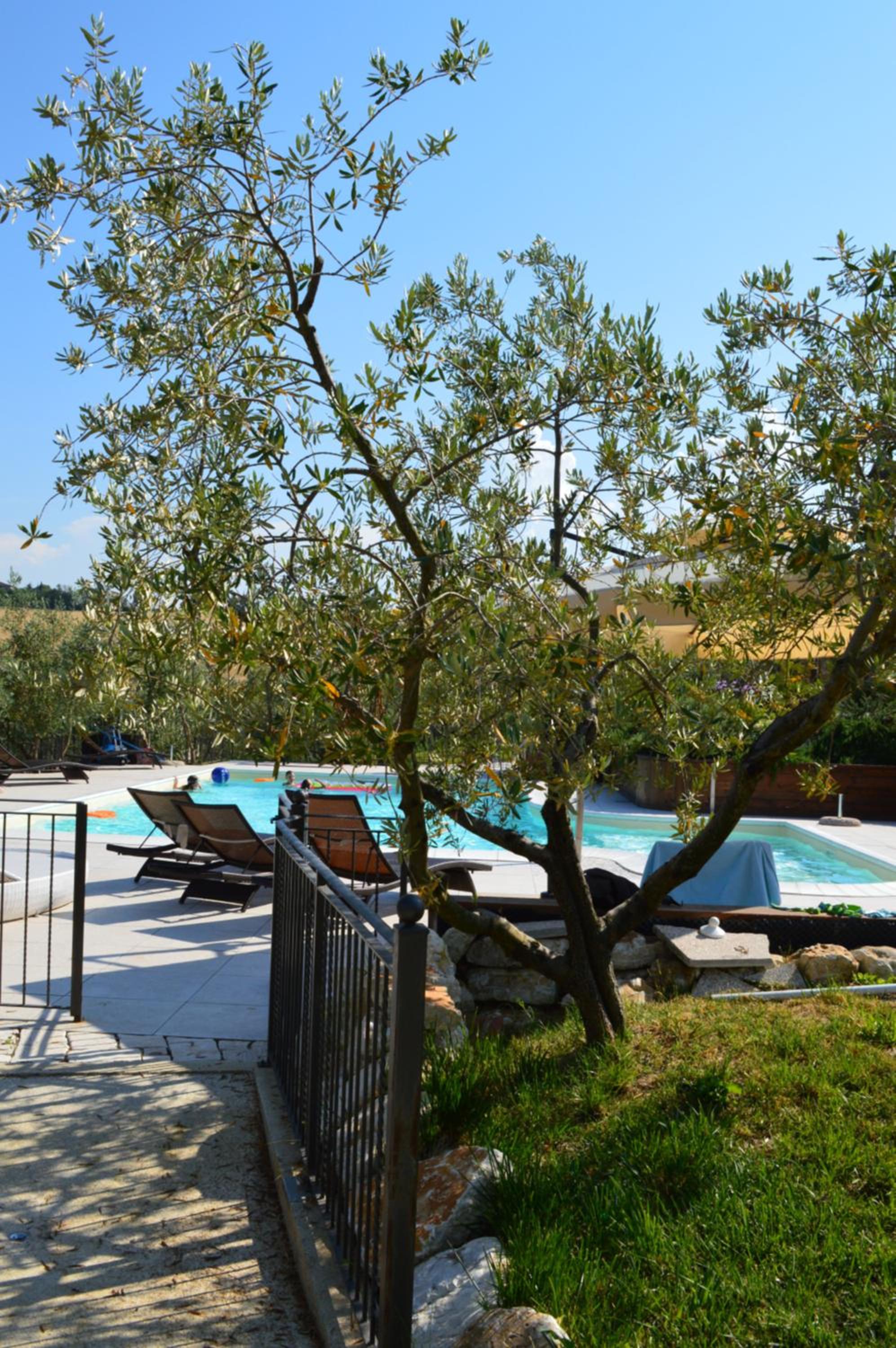 Agriturismo Tenuta Belvedere