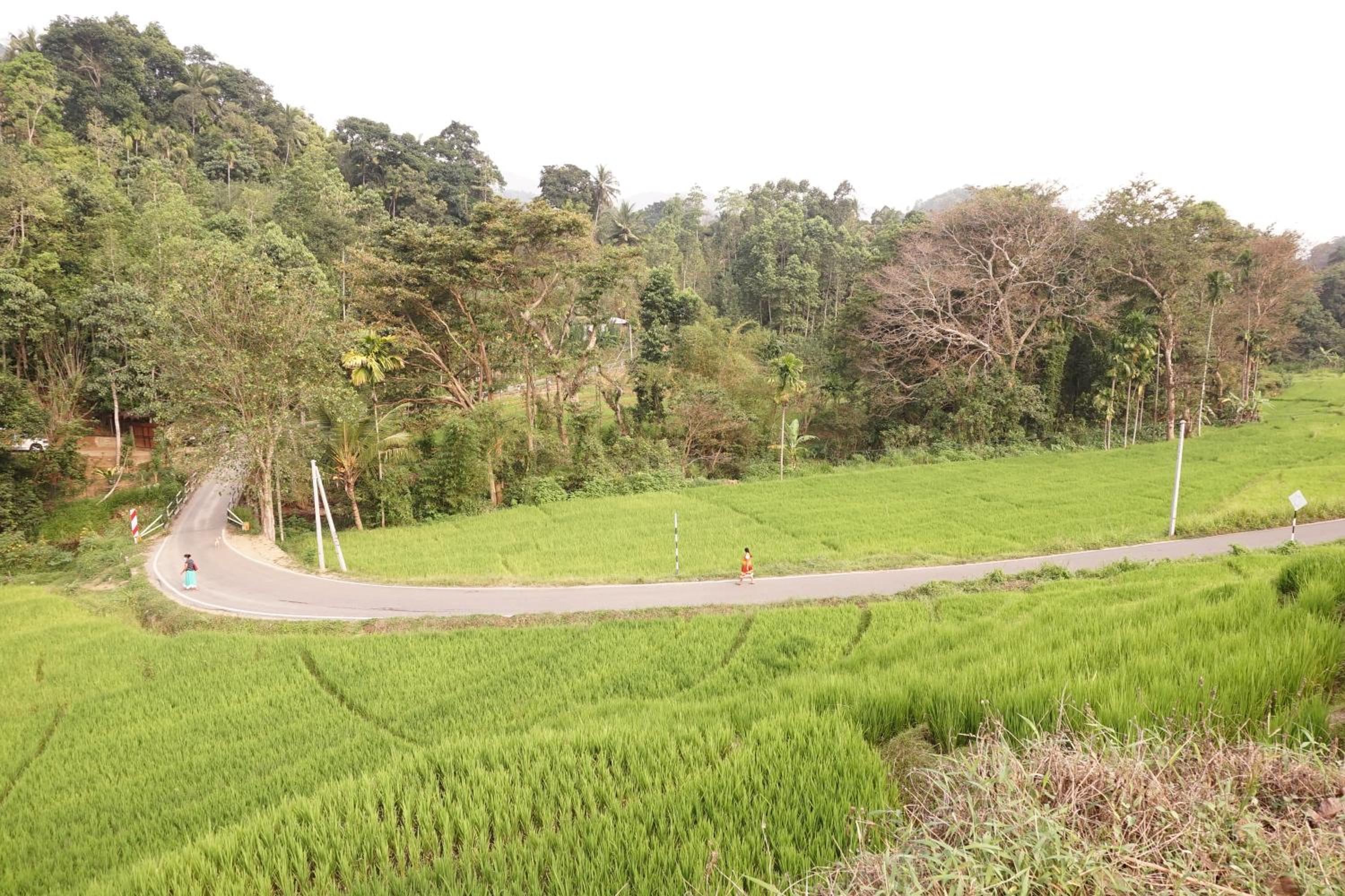 Retiyagama Eco Resort view 3