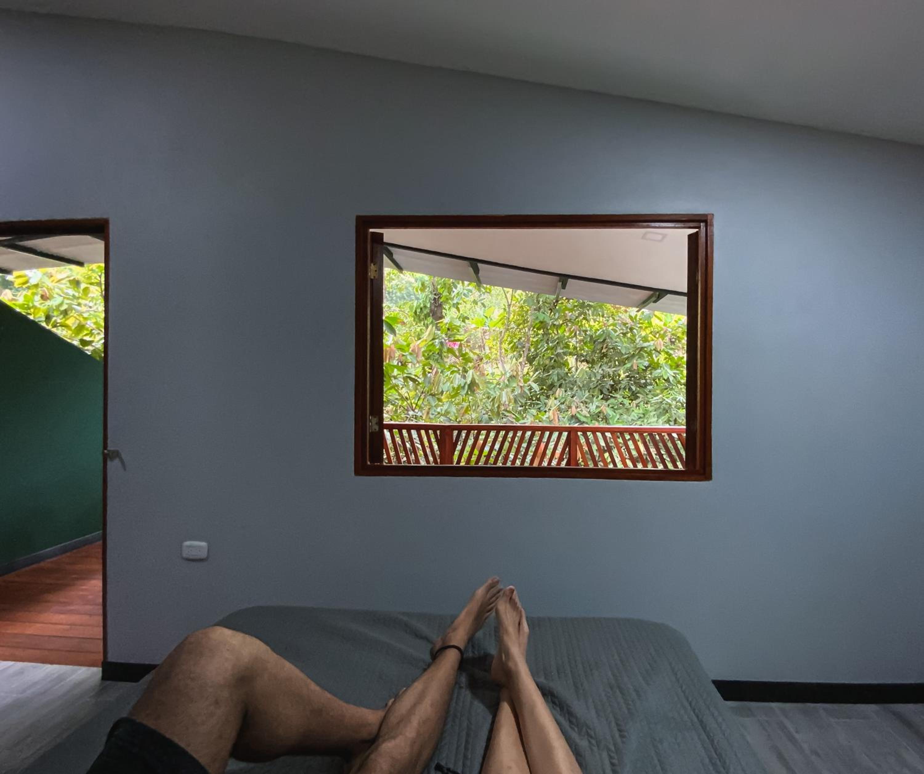 Hotel Boutique The Green Jungle House