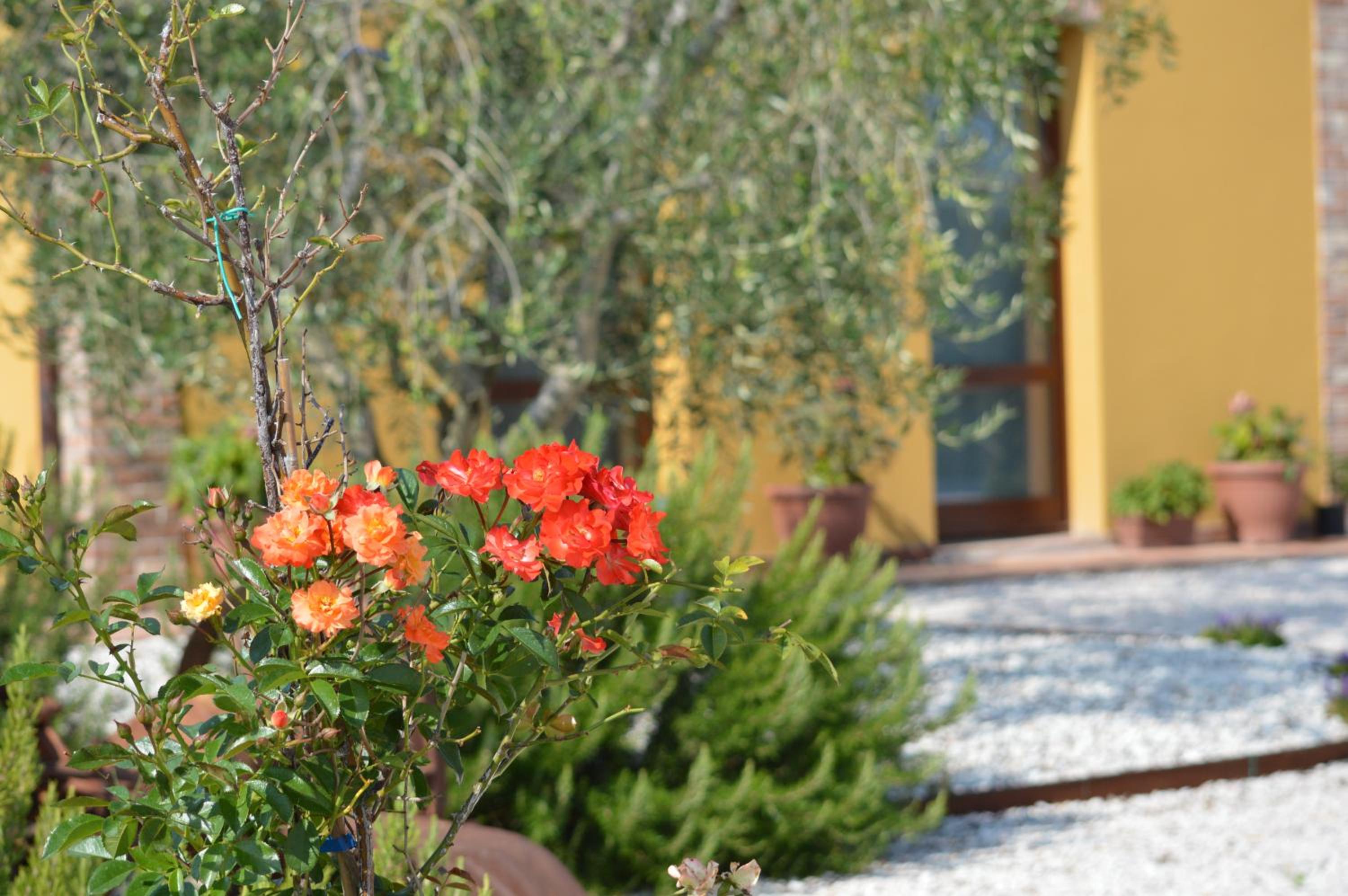 Agriturismo Tenuta Belvedere