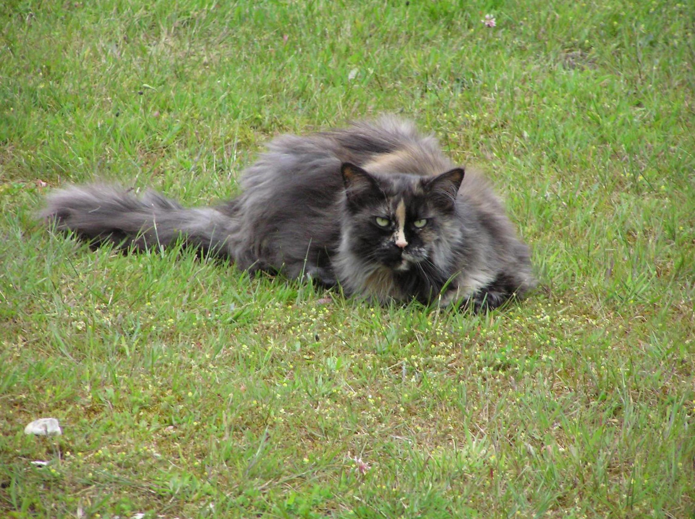 Photo 20