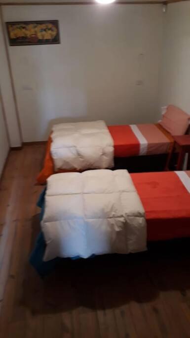 Casa Patagonica#