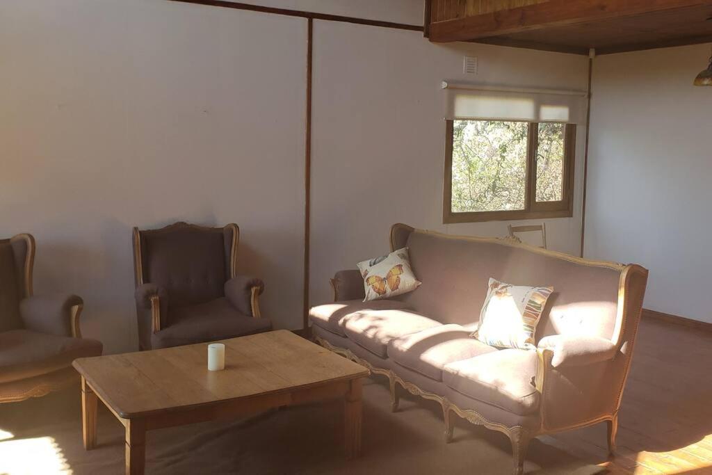 Casa Patagonica#