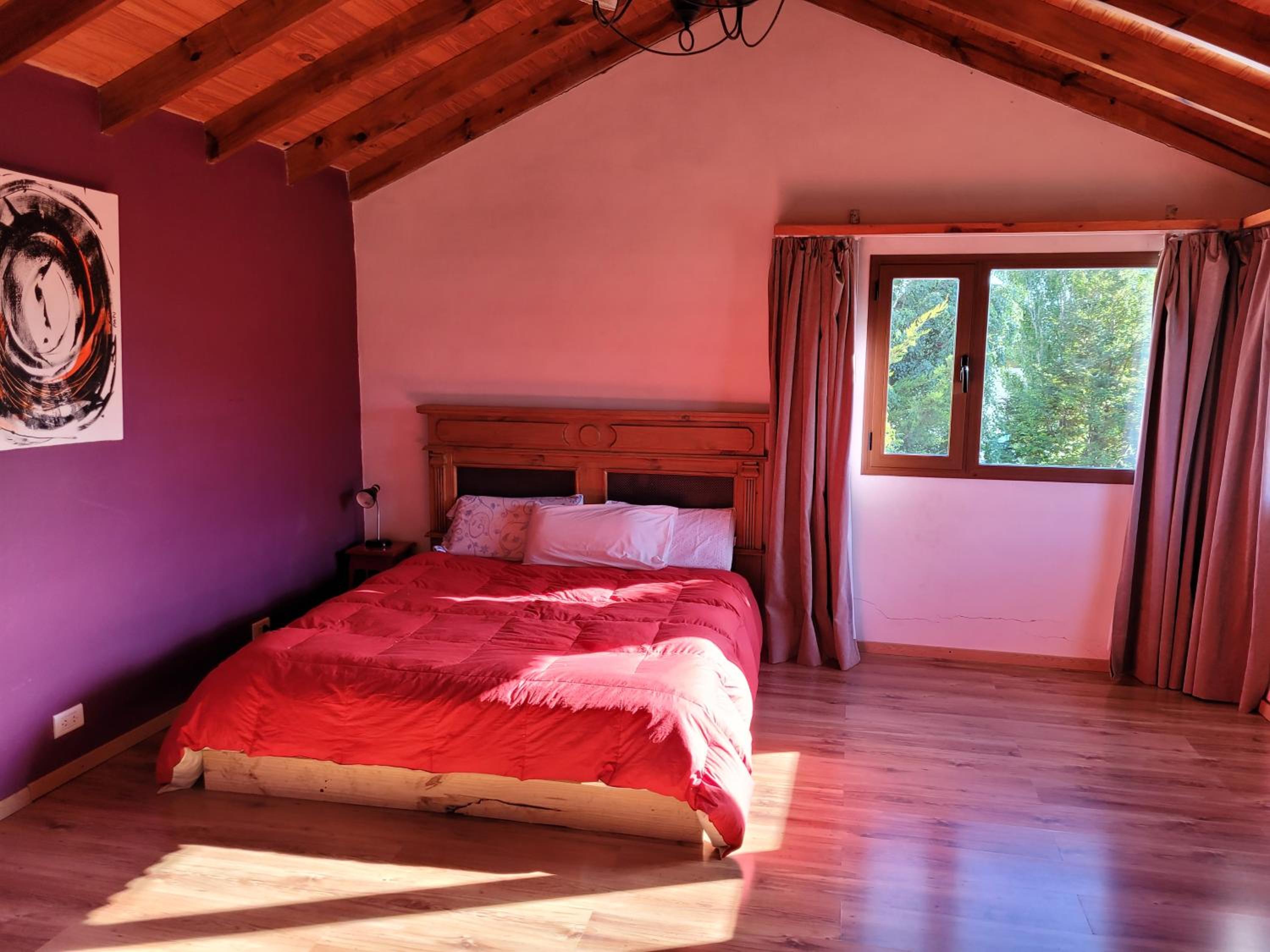 Casa Patagonica#