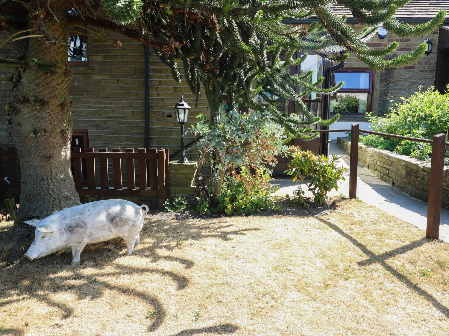 Photo 20