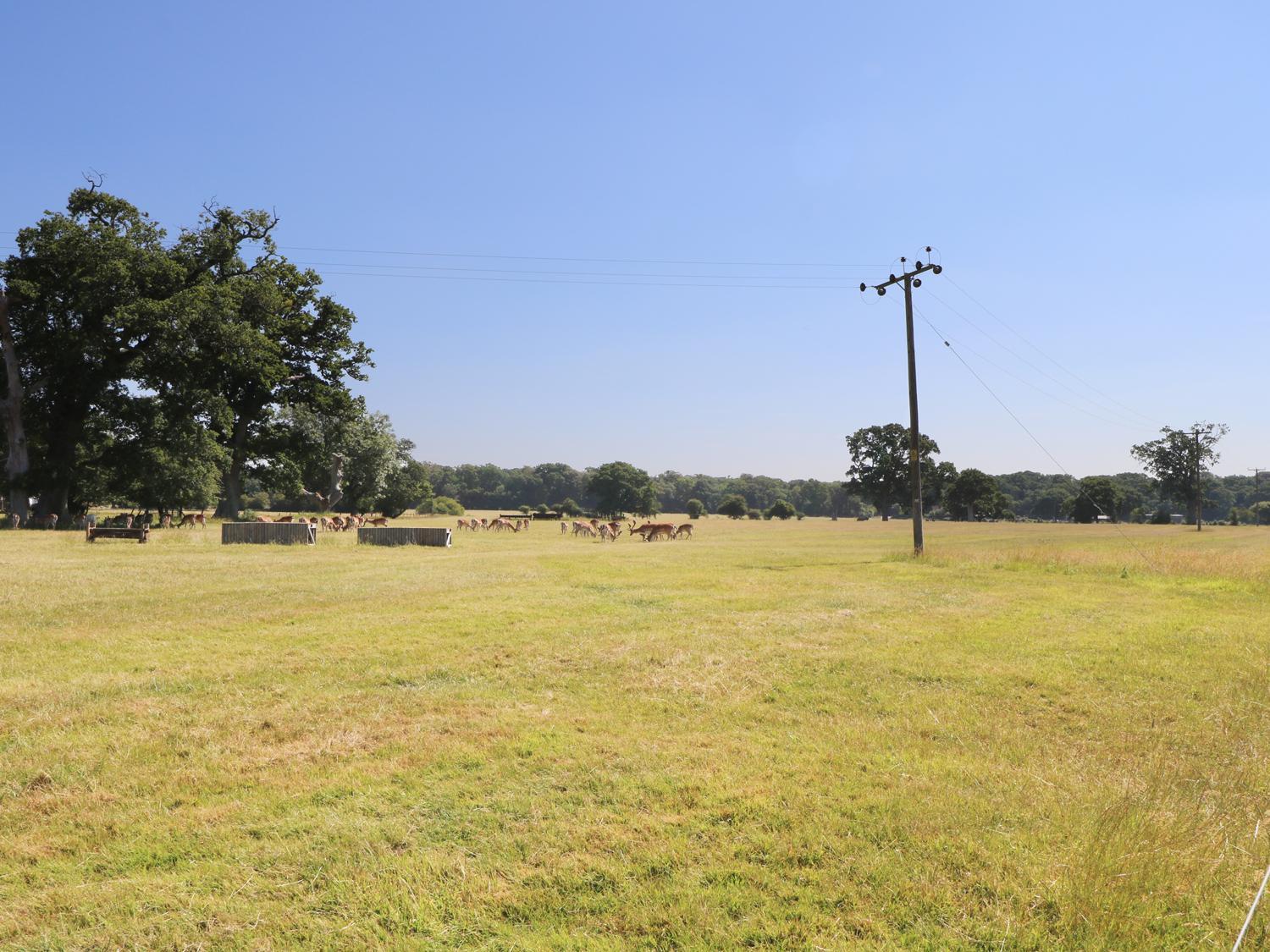New Park Farm Cottage view 4