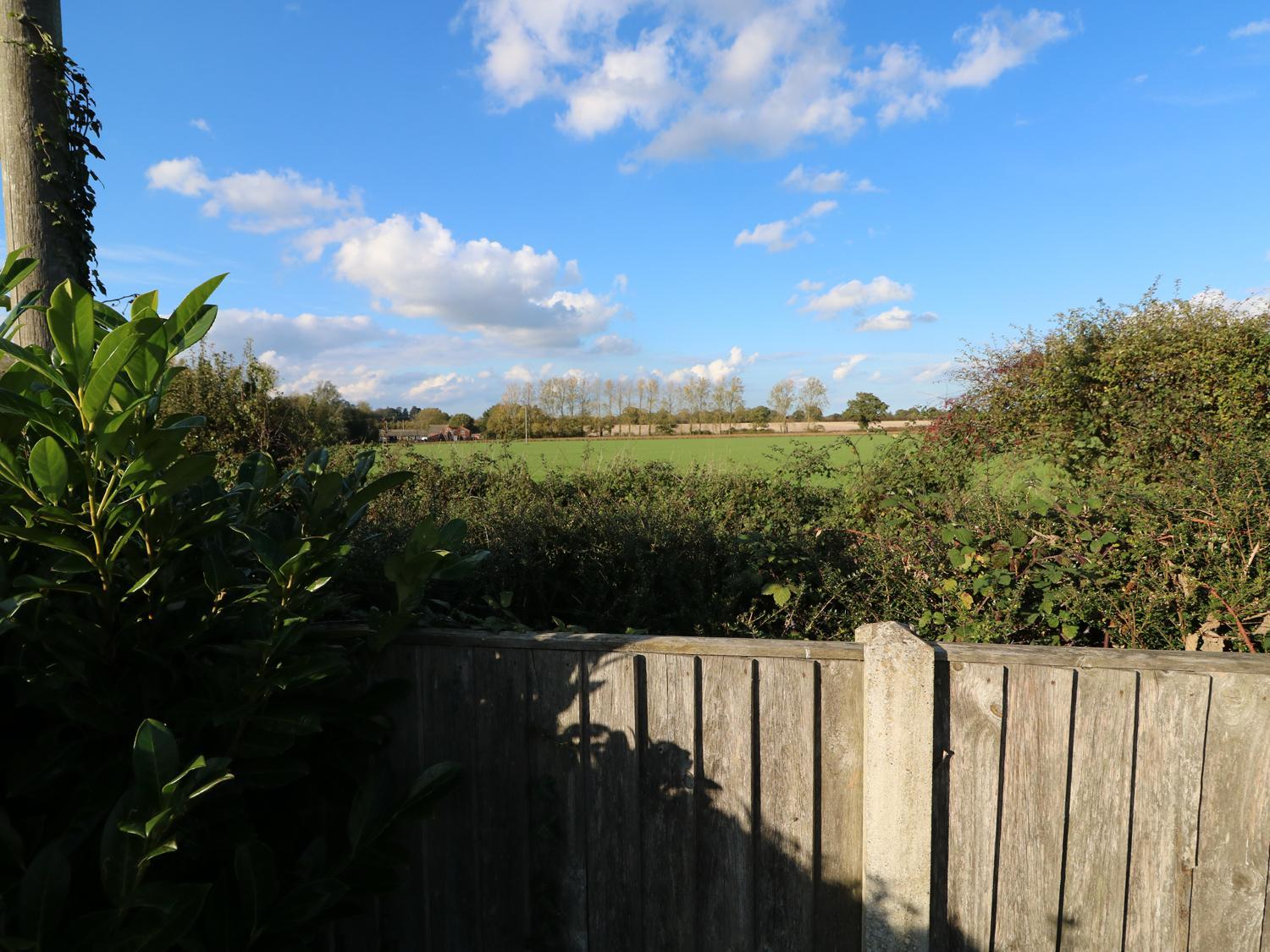 Photo 28