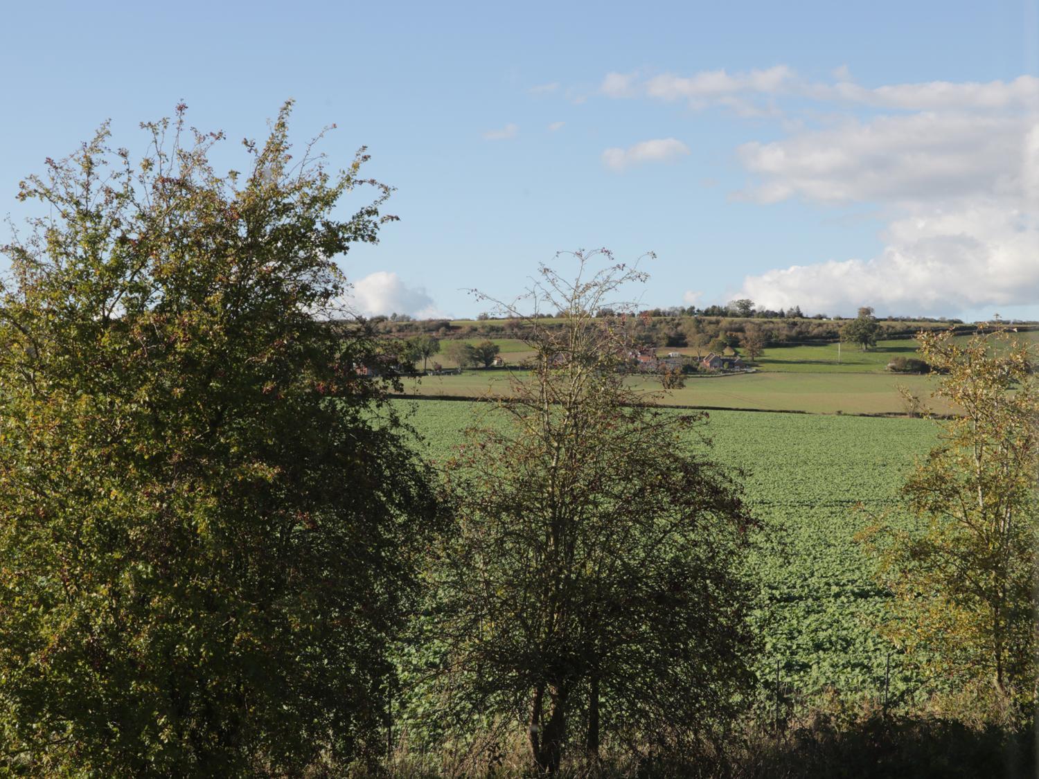 Photo 40