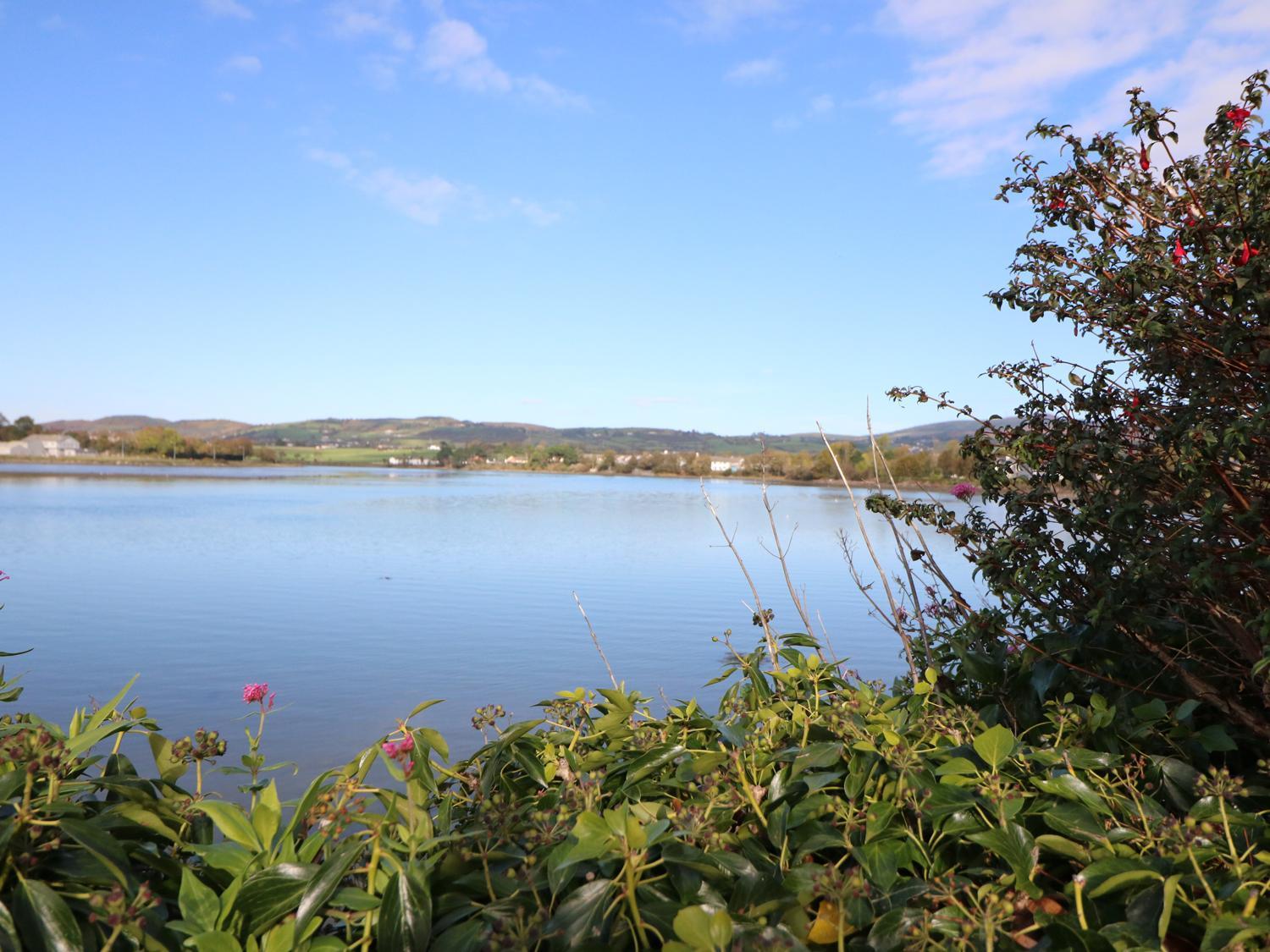 Photo 49