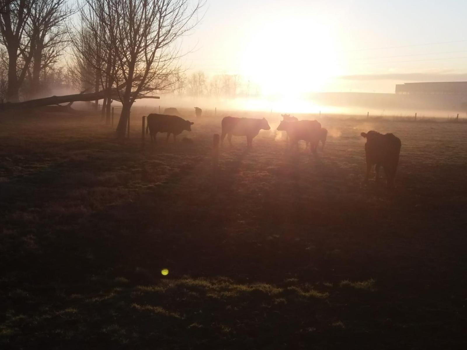 Agriturismo Cascina Pezzolo